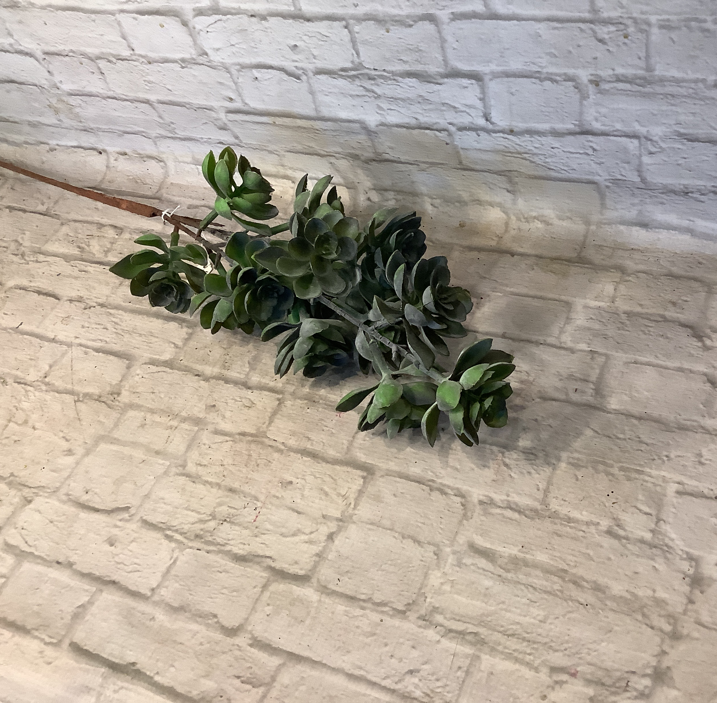 IK Asparagus Greenery Bush