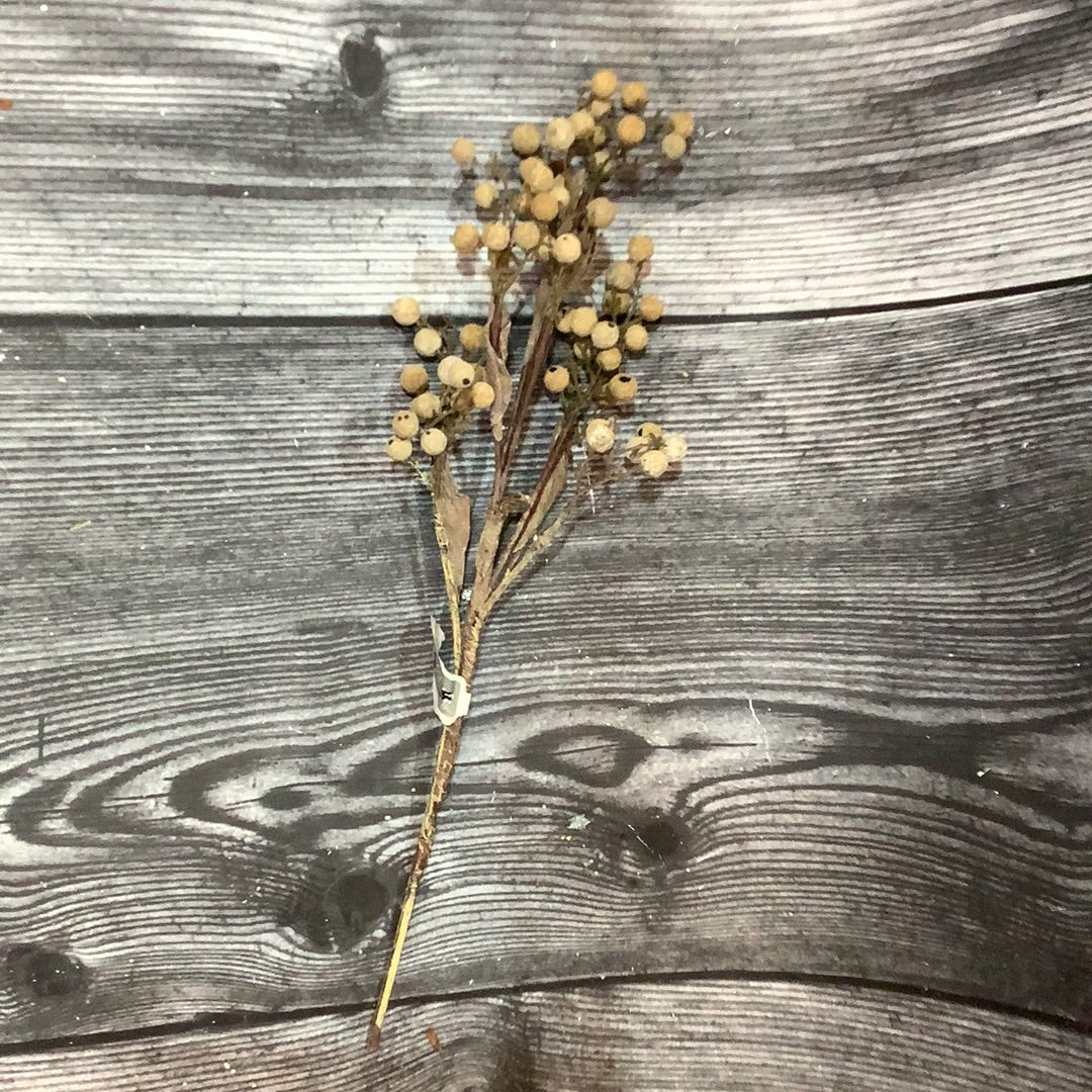 K 16.5” Berry Spray