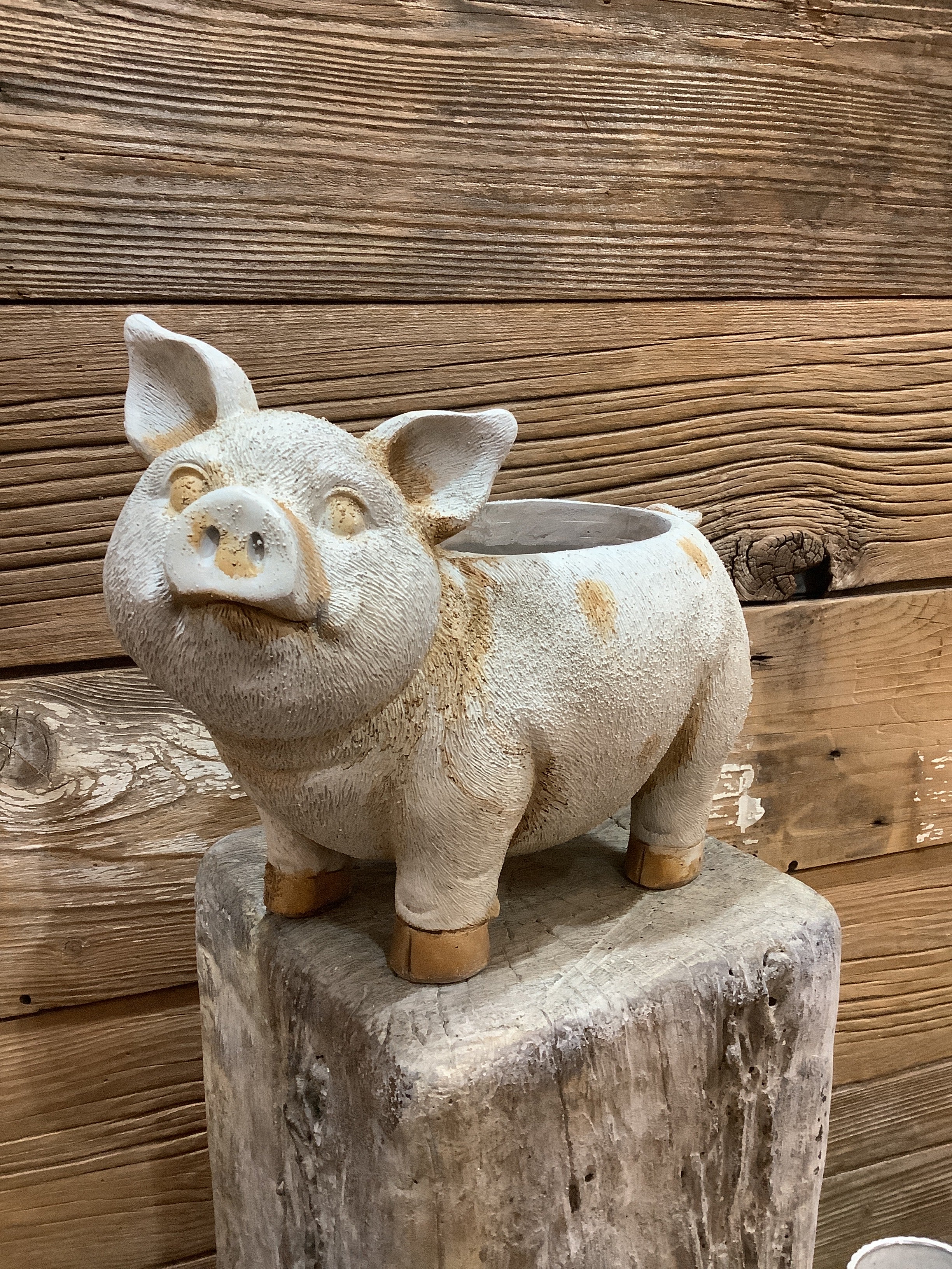 Pig Planter