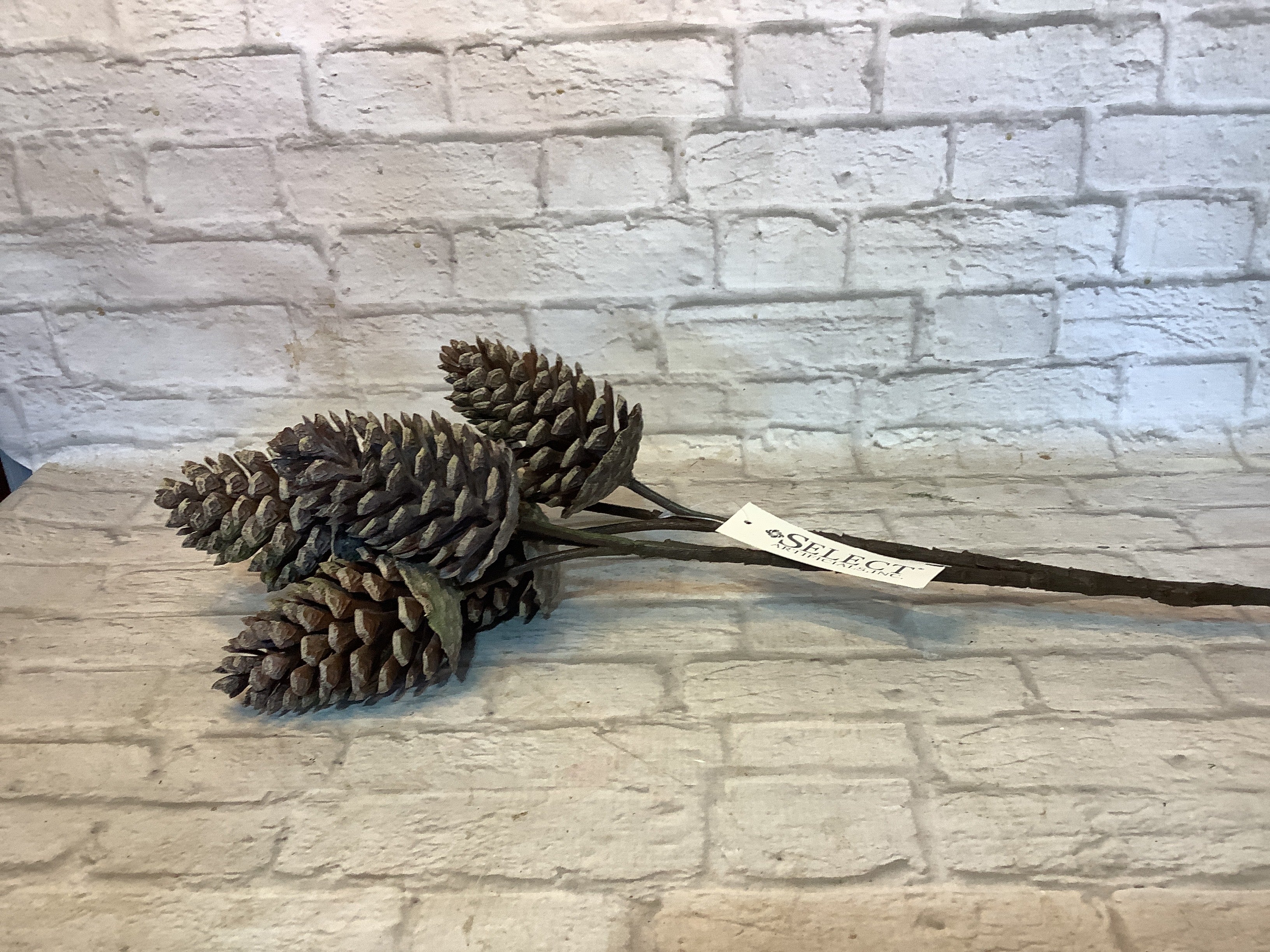 K Pine cone bundles