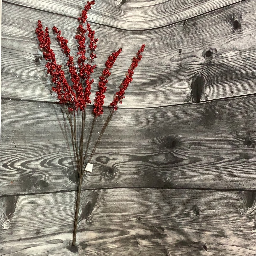 K 33” Spike Berry Stem Red and Black