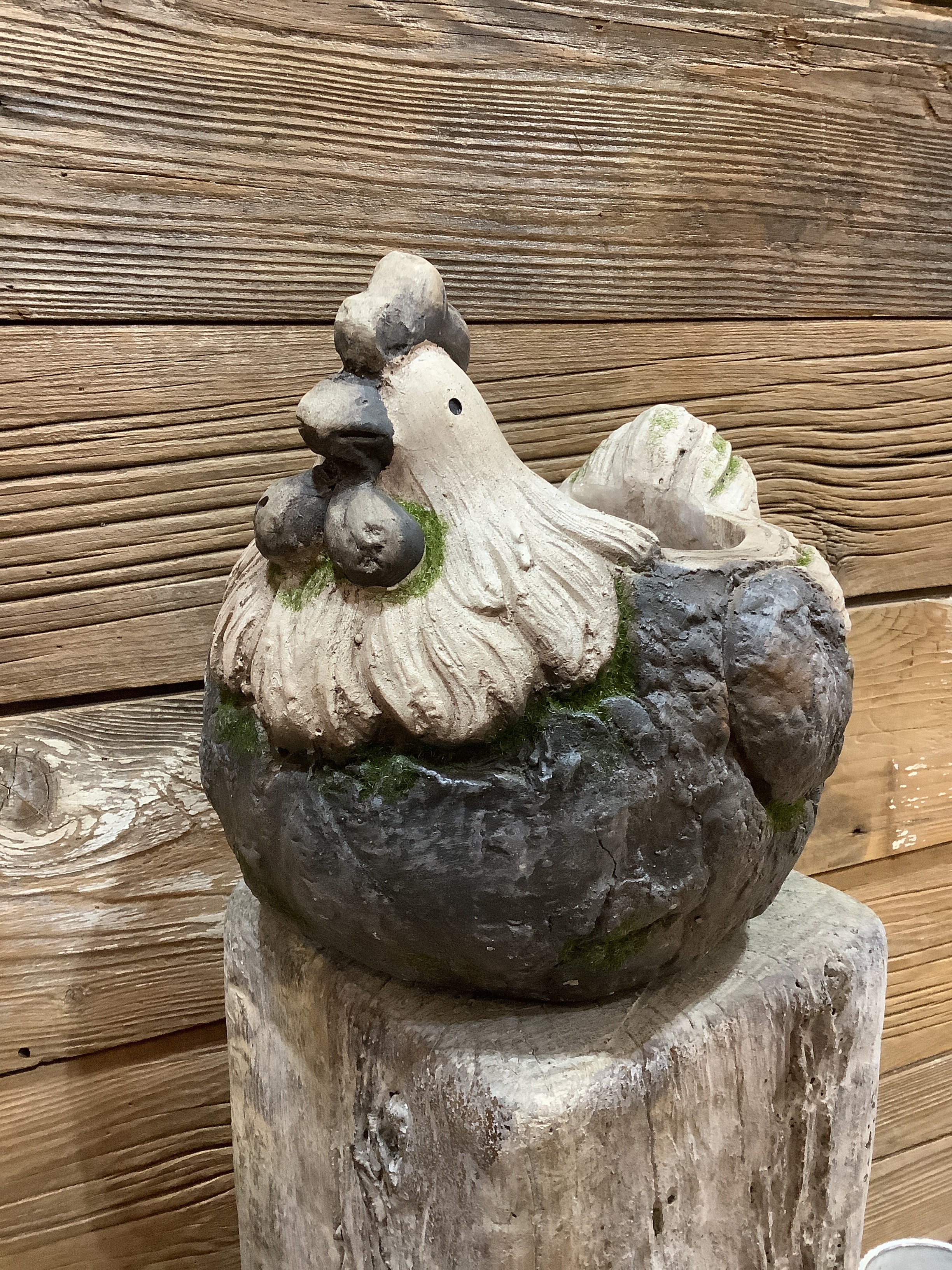 Chicken Planter