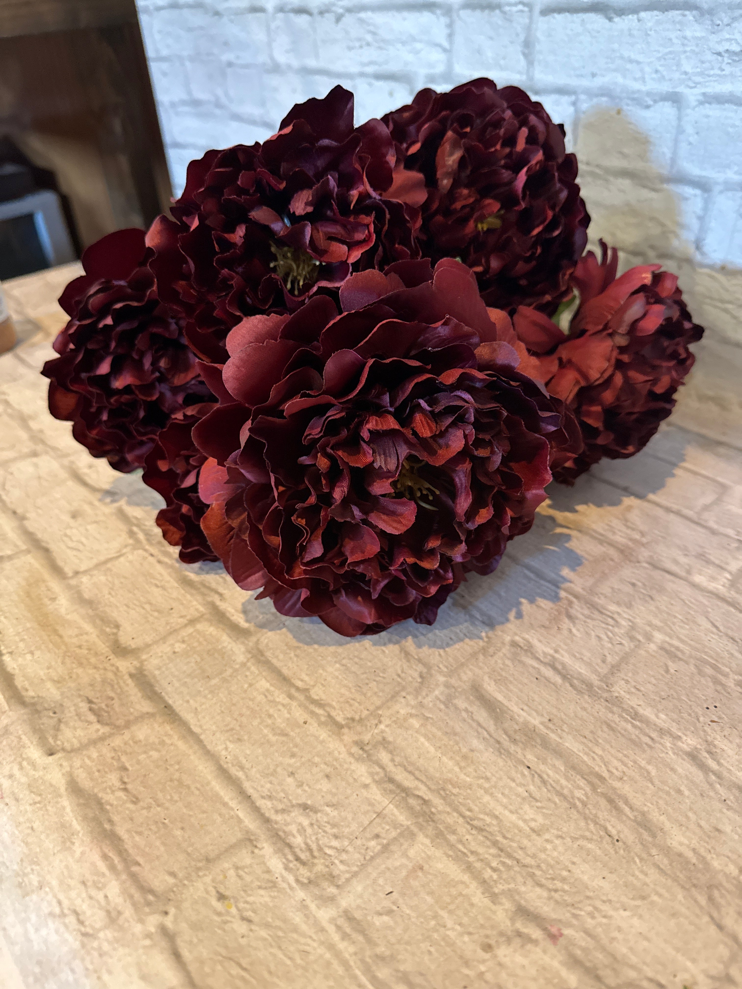 K Peony Bush