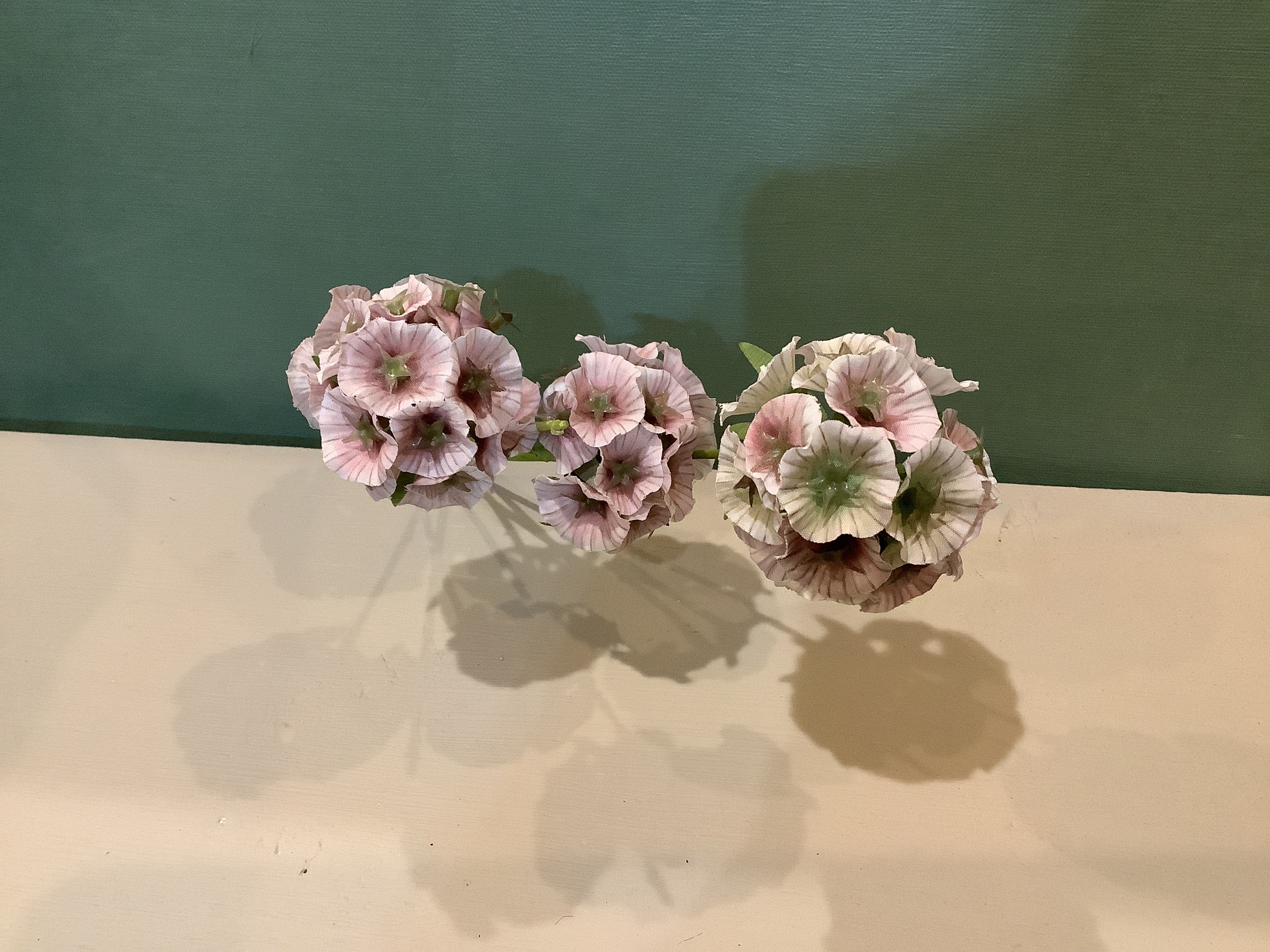 K-Scabiosa pink