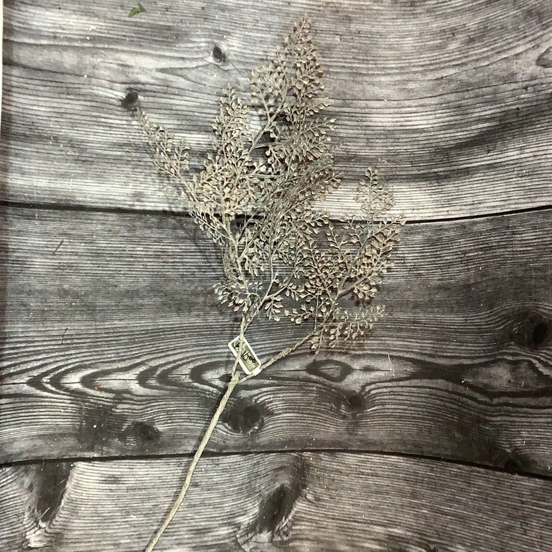 K 30” Button Leaf Spray