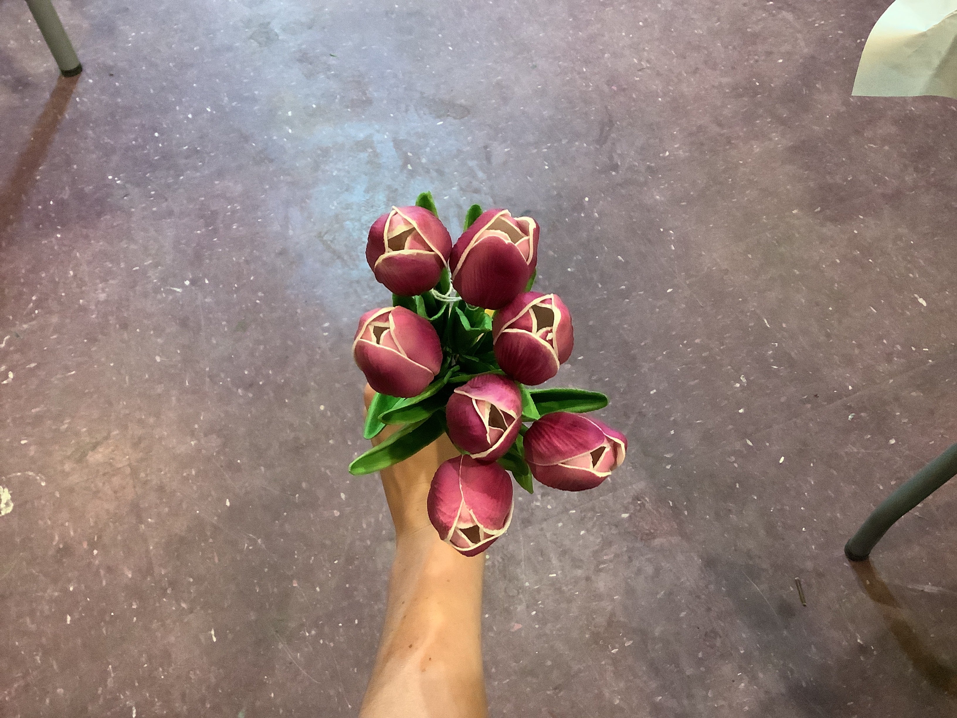 K-Purple tulip bundle