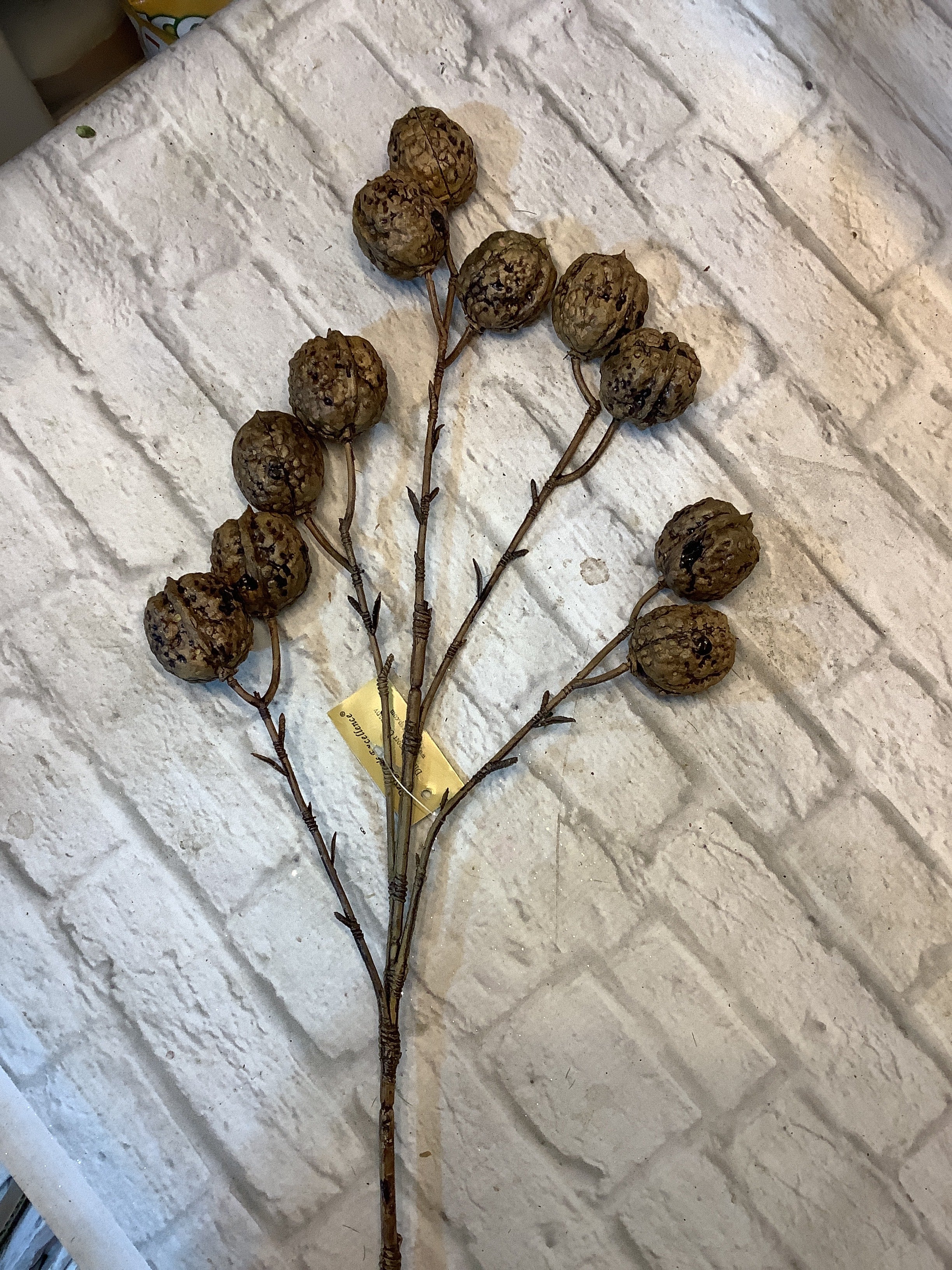 K 25” Chestnut spray