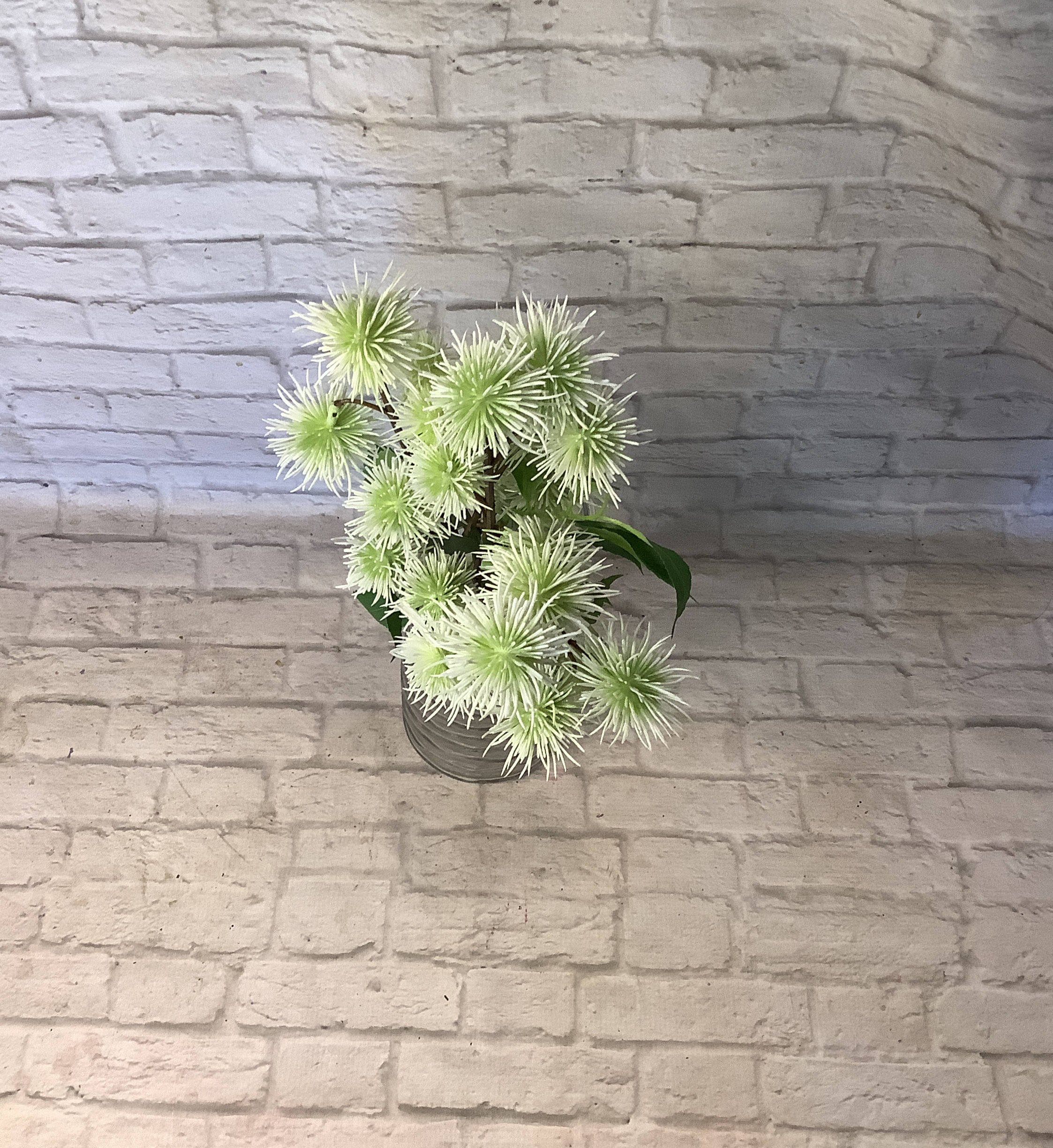 K 19” Spikey Ball Bundle White