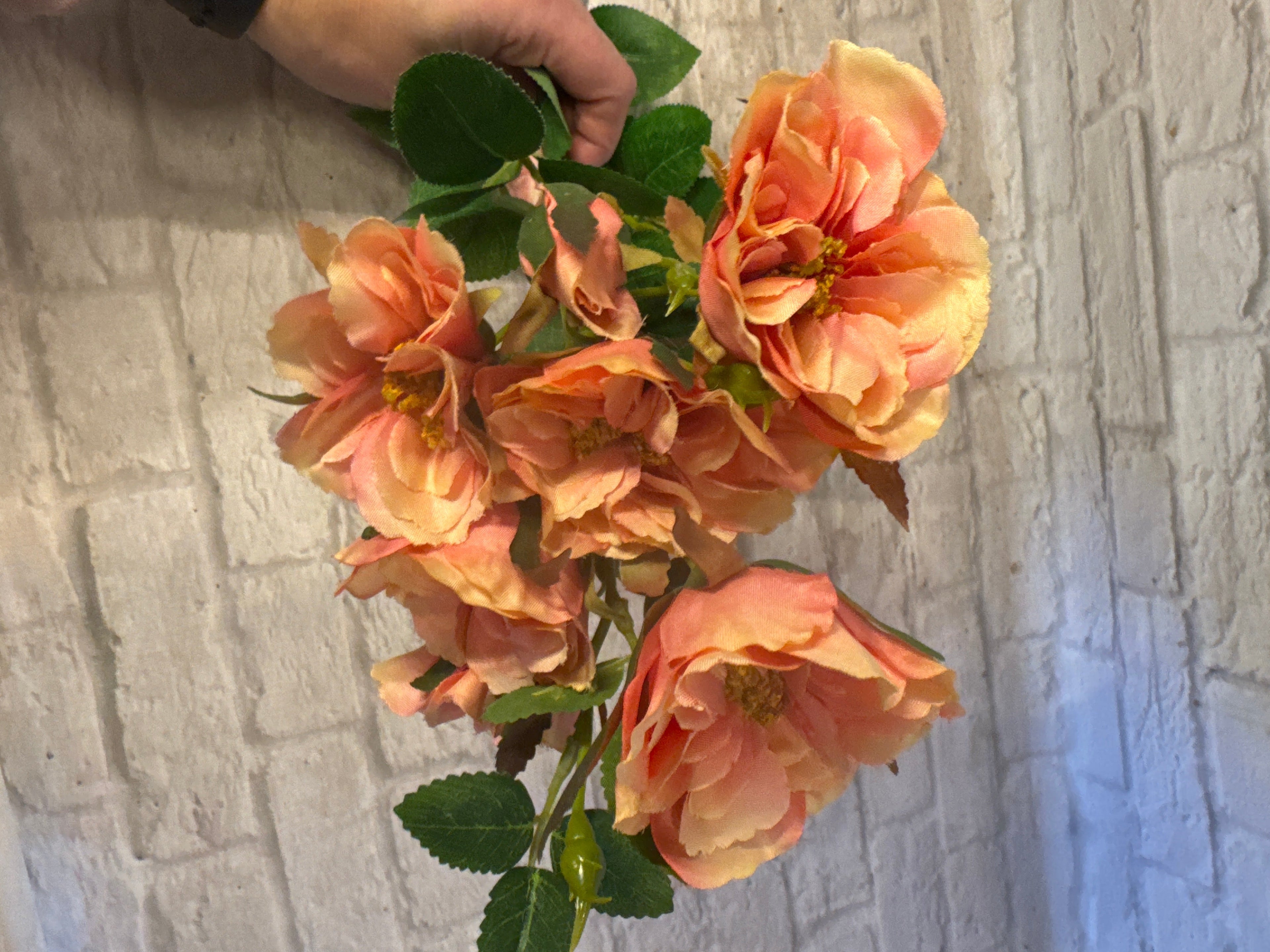 K Rose spray