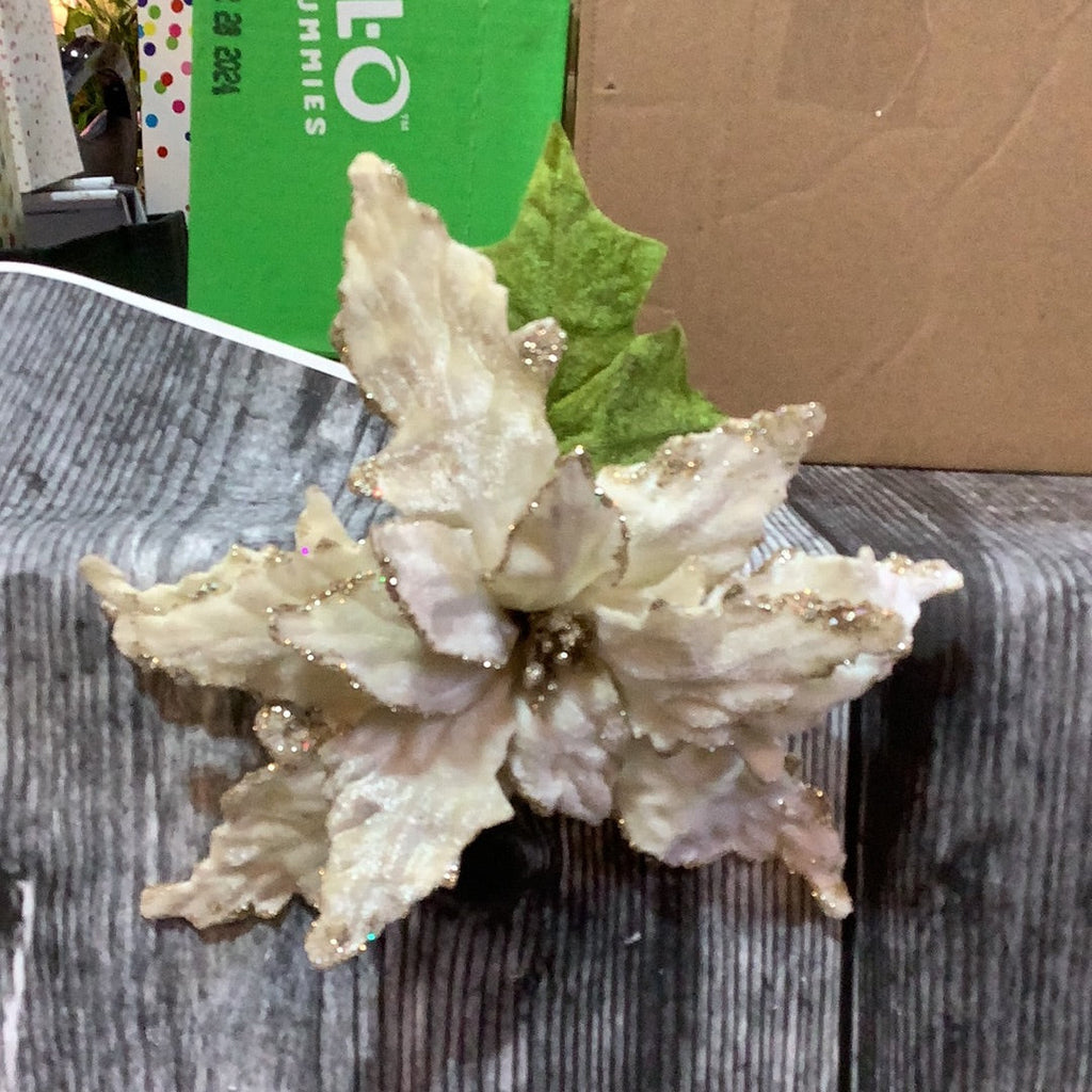 K 24” Cream Poinsettia Spray