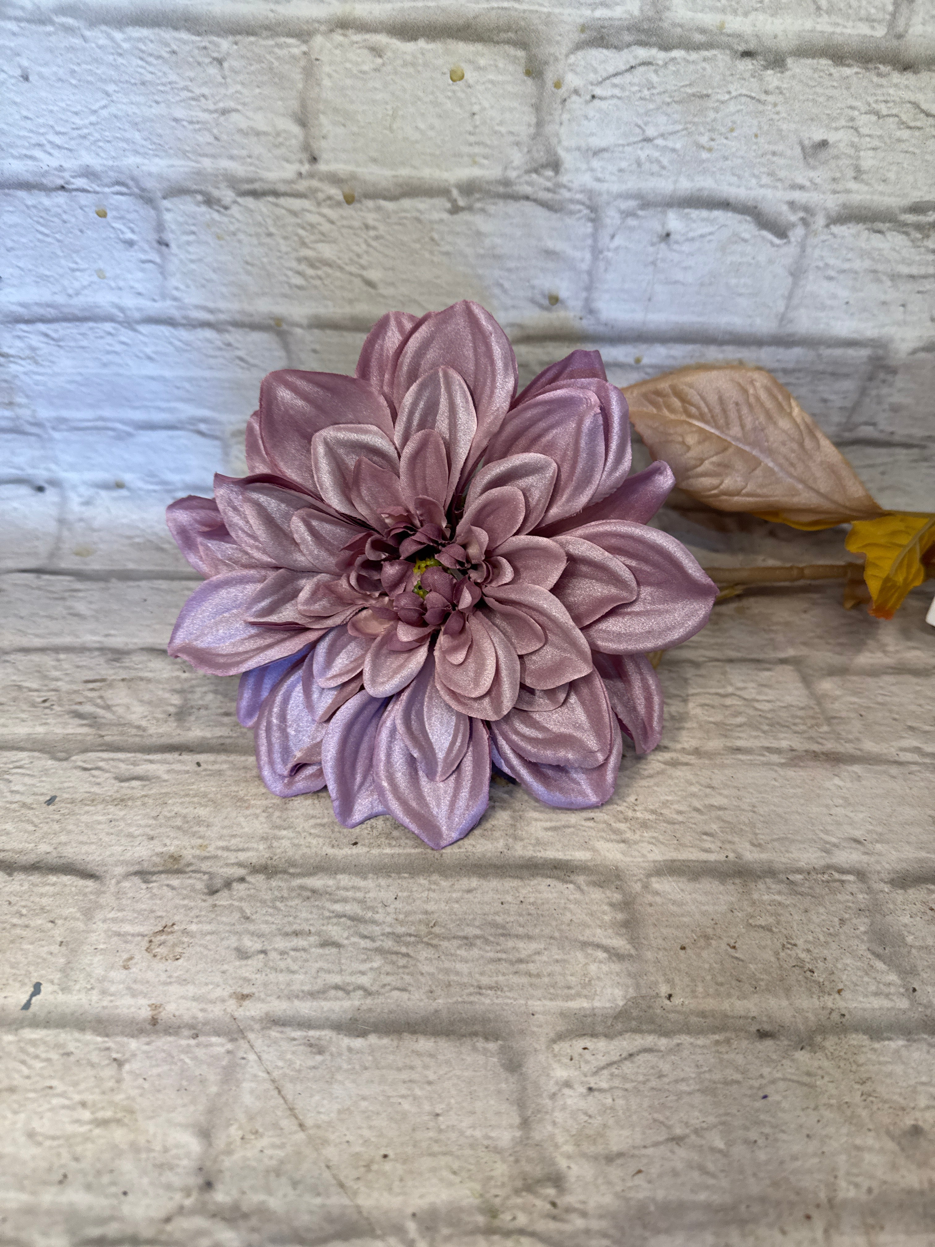 K Shimmer Dahlia