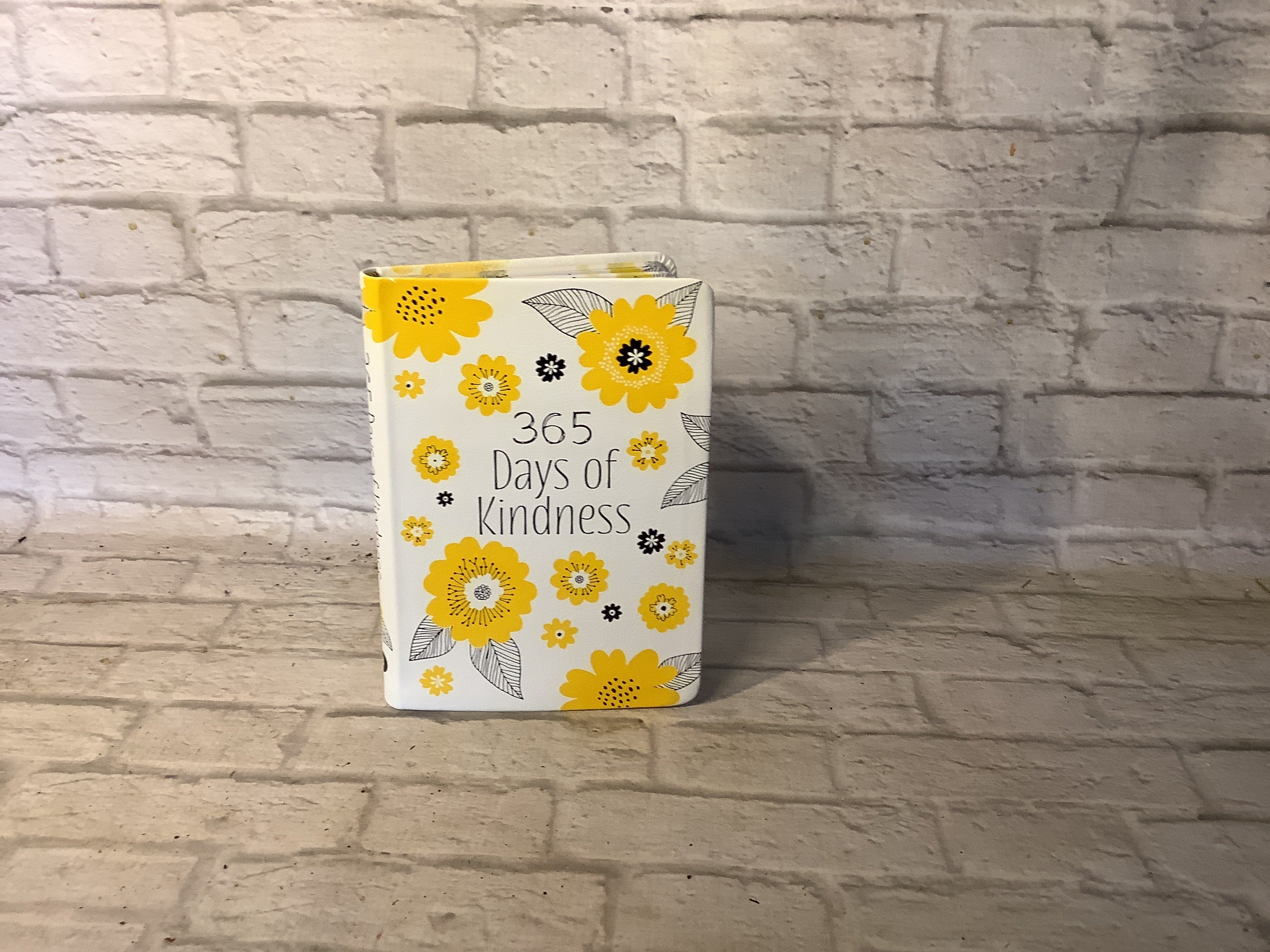 K 365 Days of kindness (Devotional, new year new me ideas)