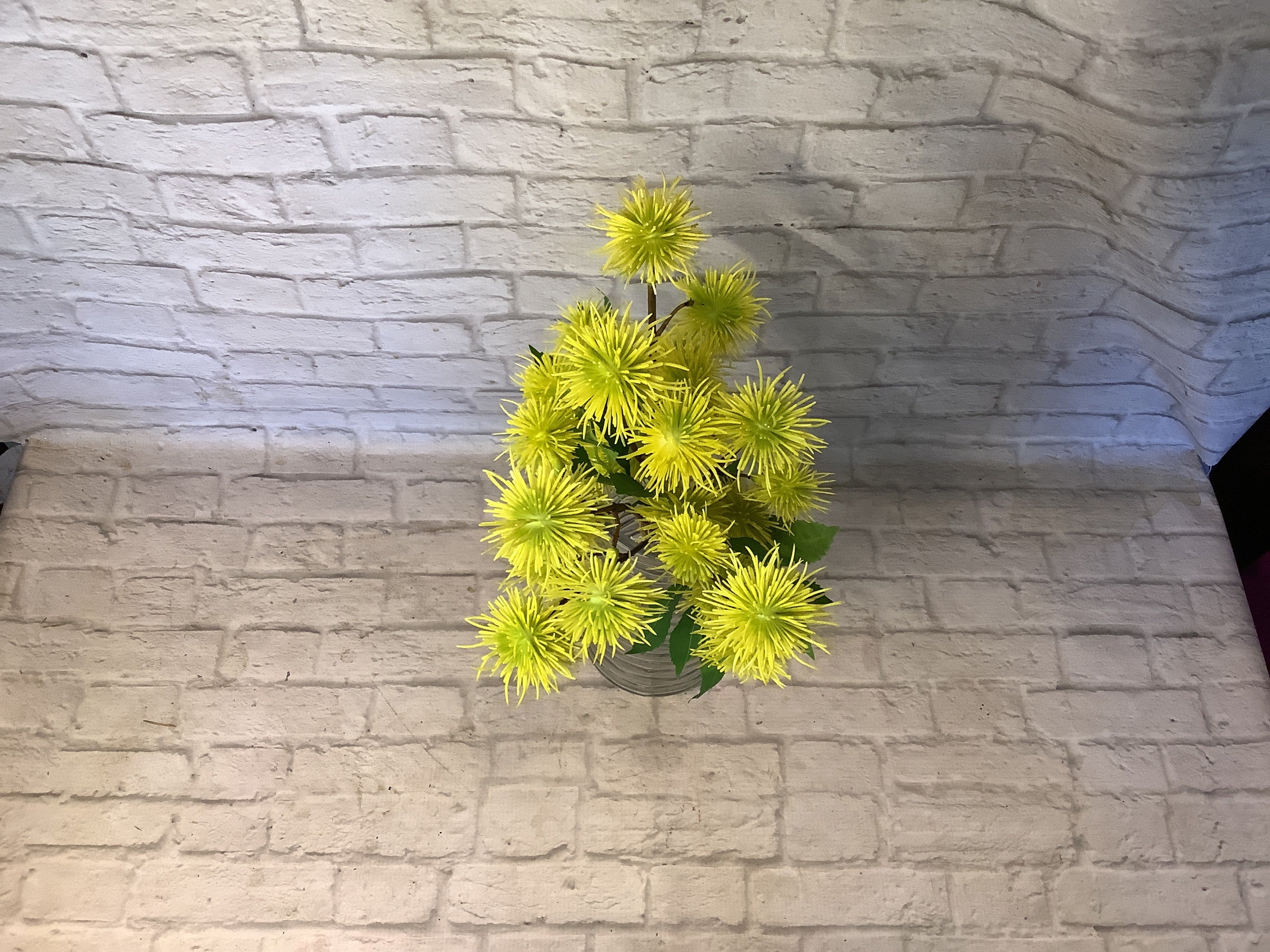 K 19” Spikey Ball Bundle Yellow