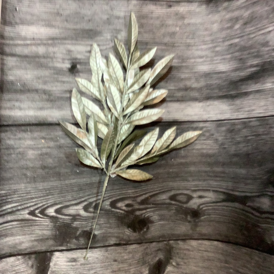 K Silver Leaf