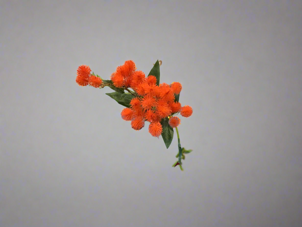 K 30” Thistle Spray Orange