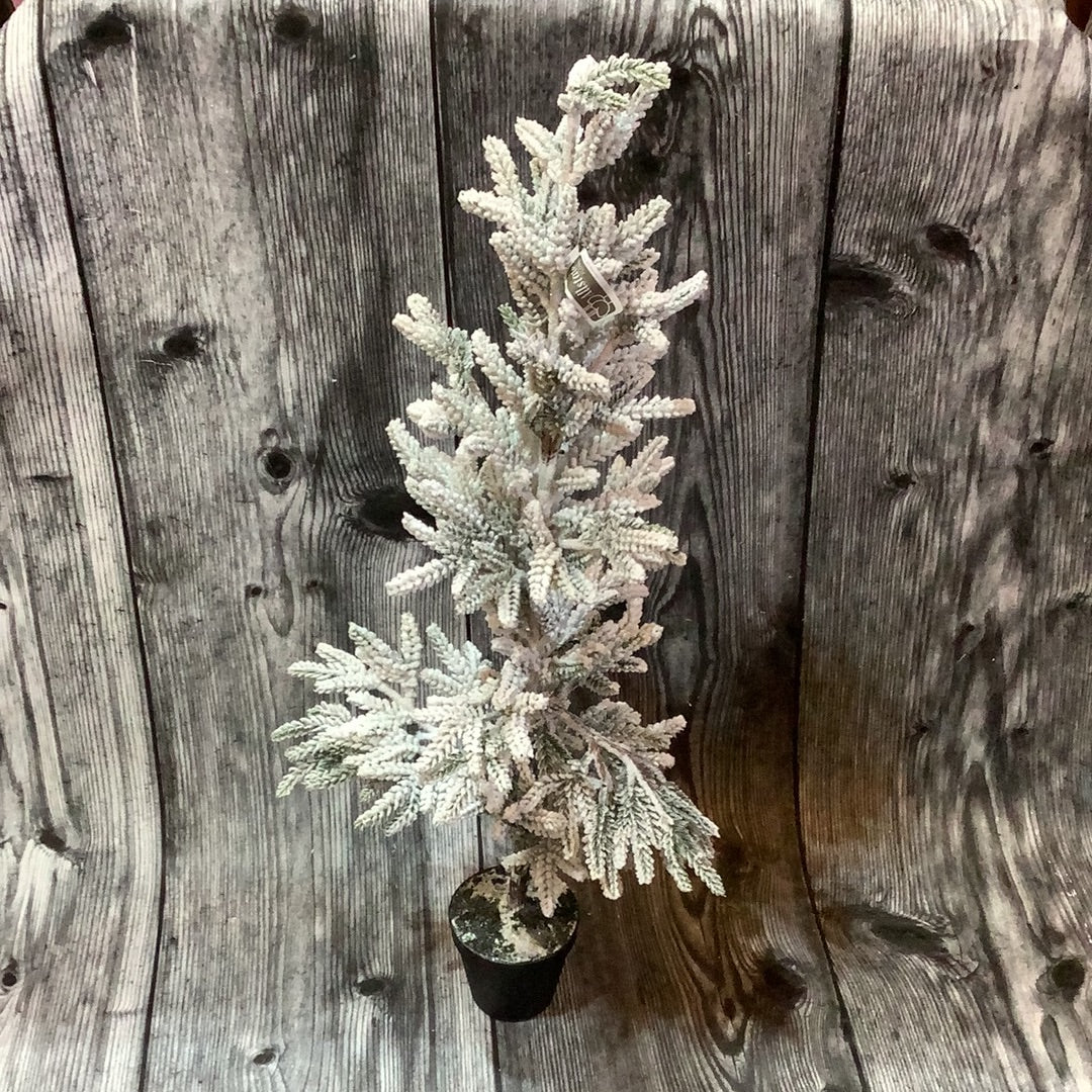 K 34” Small Flocked Pine Tree in Pot