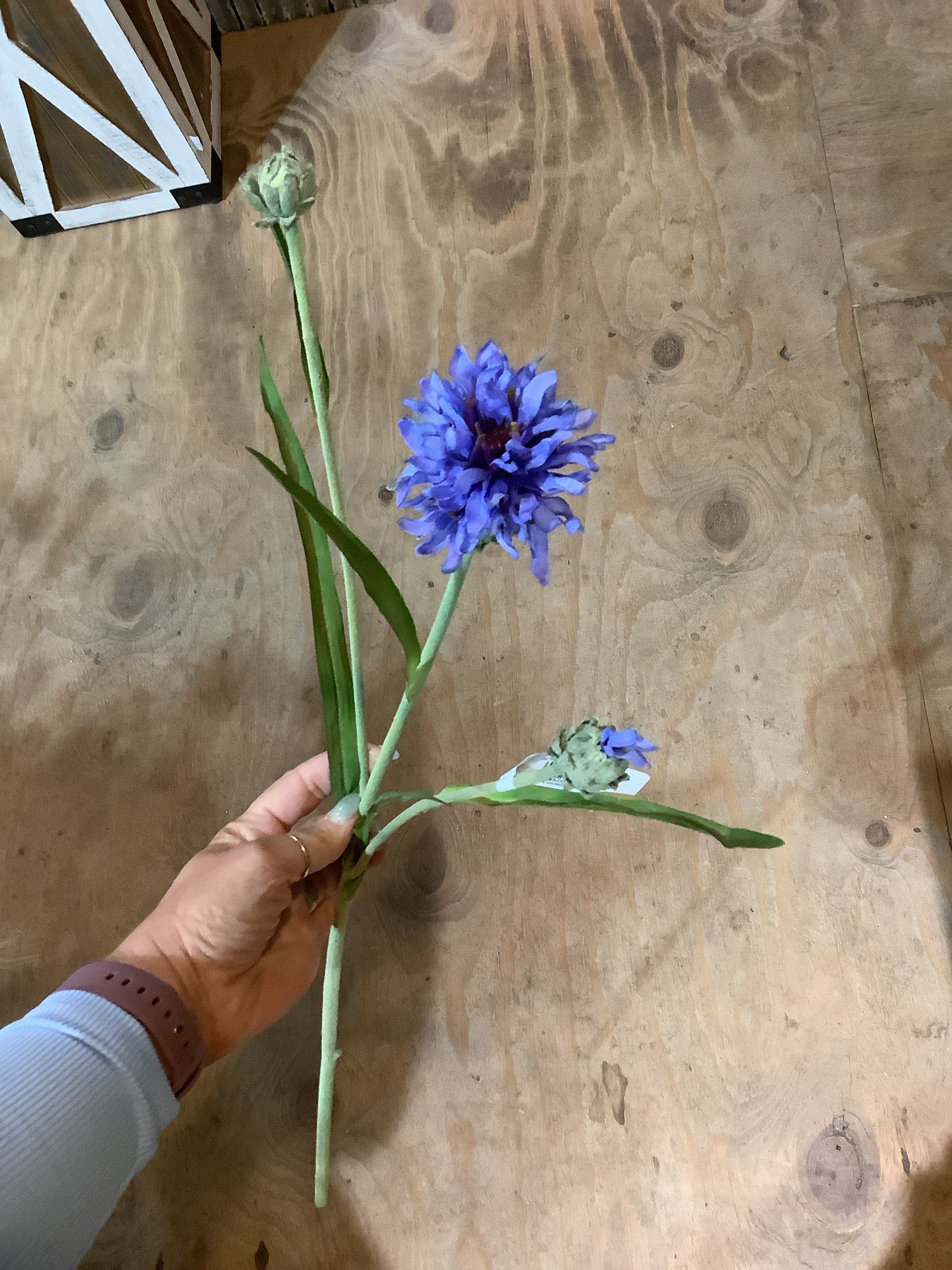 K corn flower spray