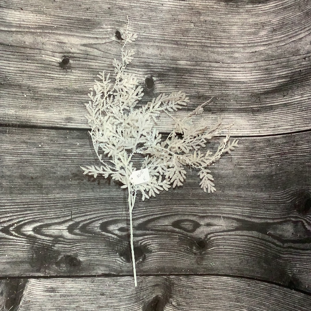 K White Leaf