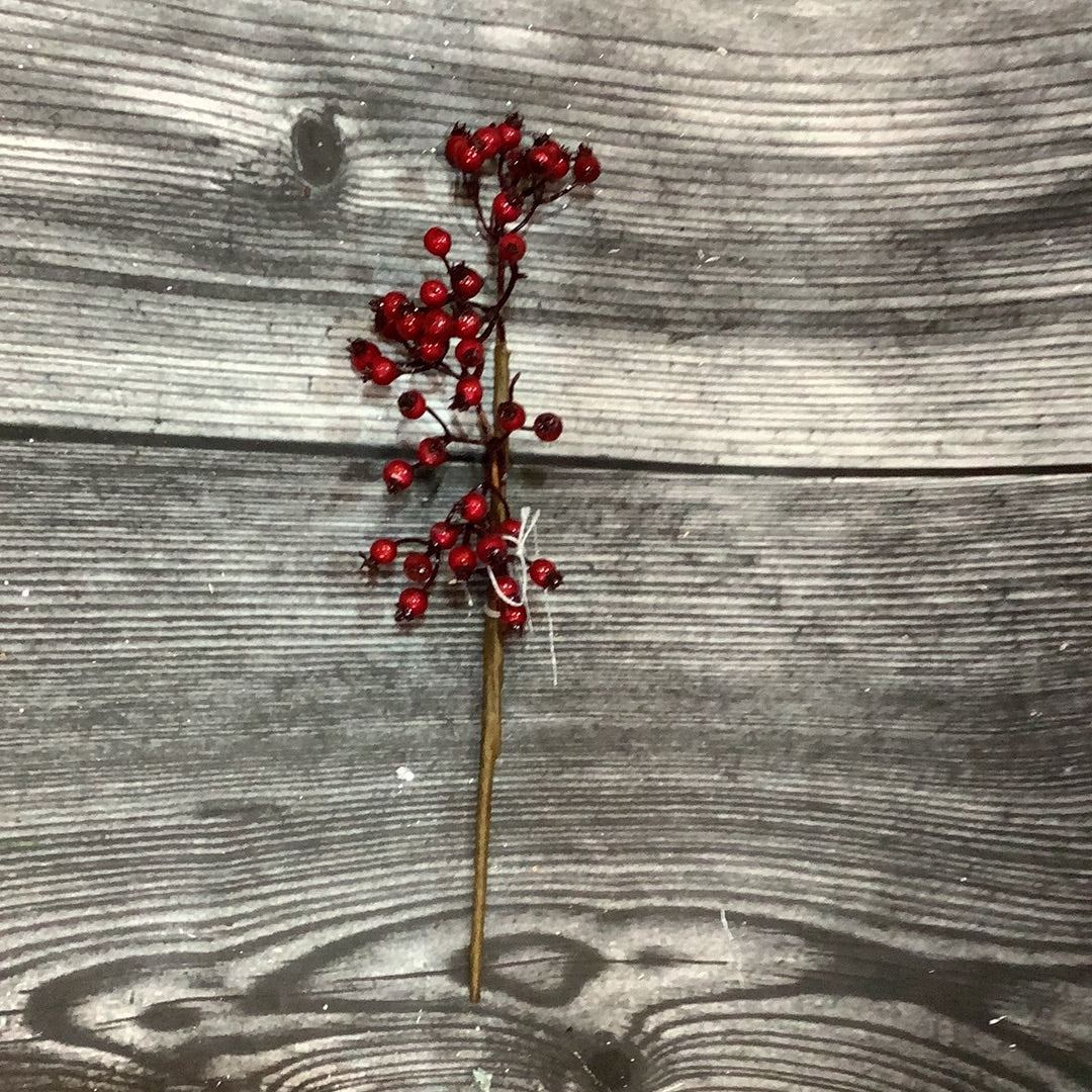 K Small Red Berry Pick