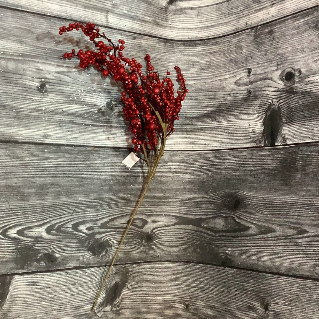 K Red Berry Stem