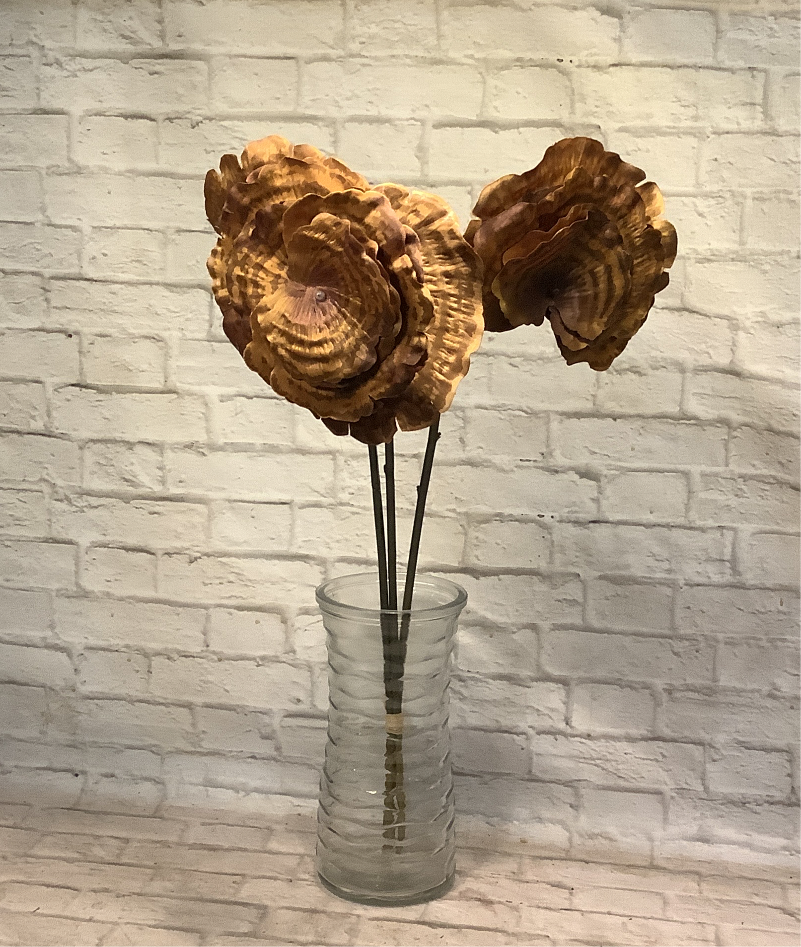 K 24” Mushroom Bundles