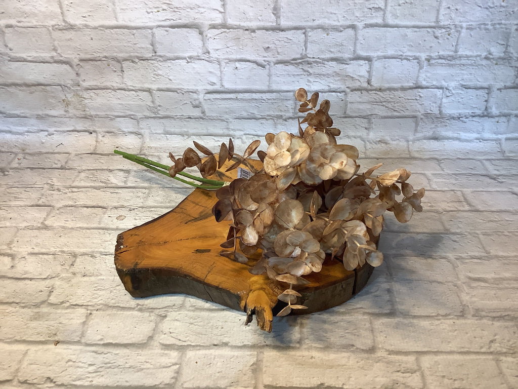 K 15” Euc bundle white