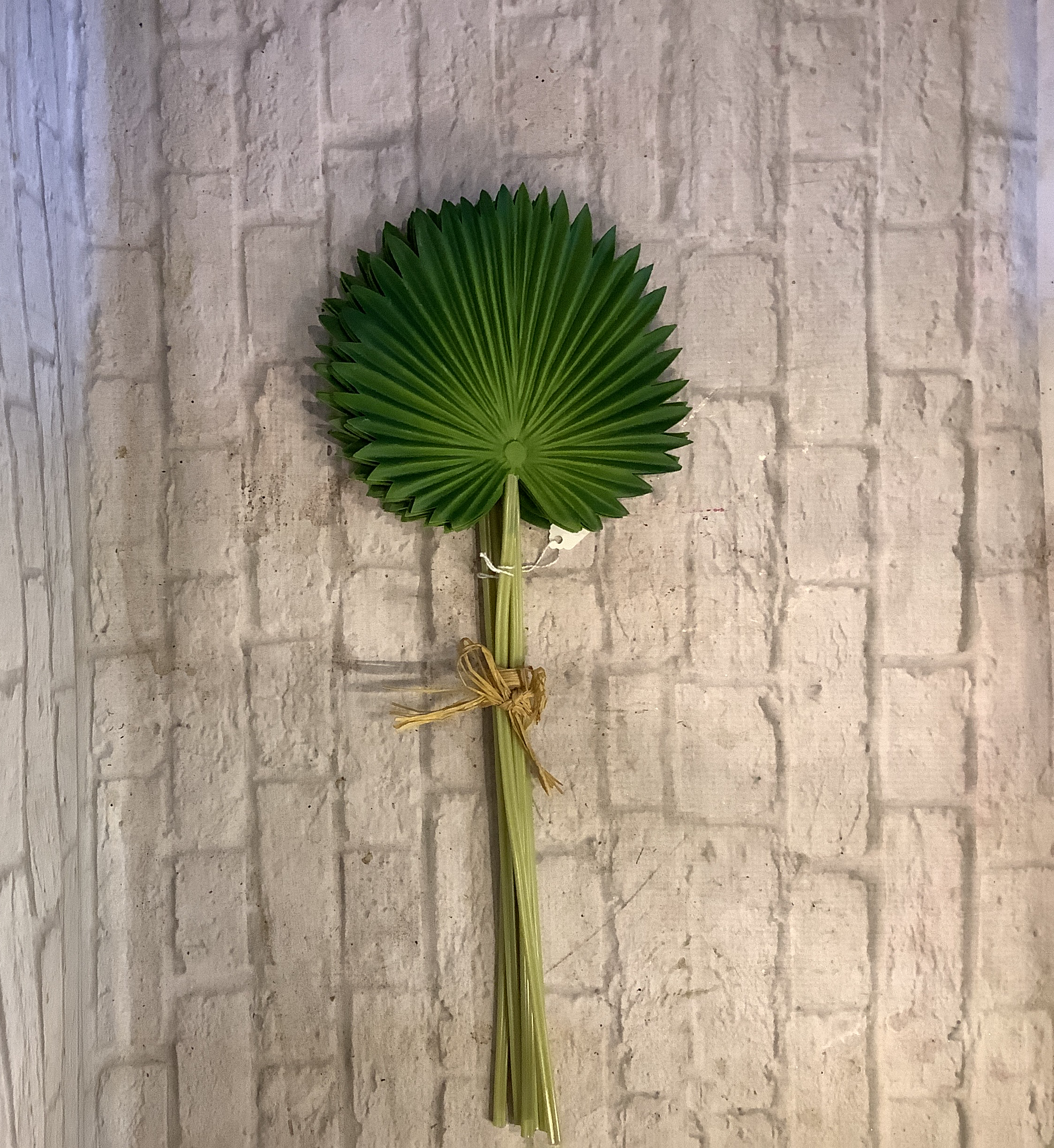 K Palm Leaf Bundle