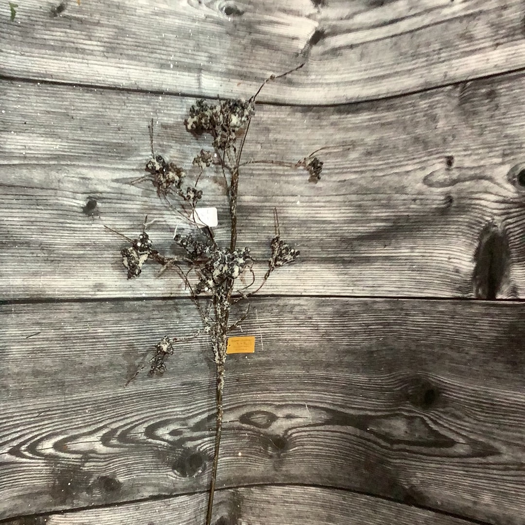 34” Snow Berry Branch