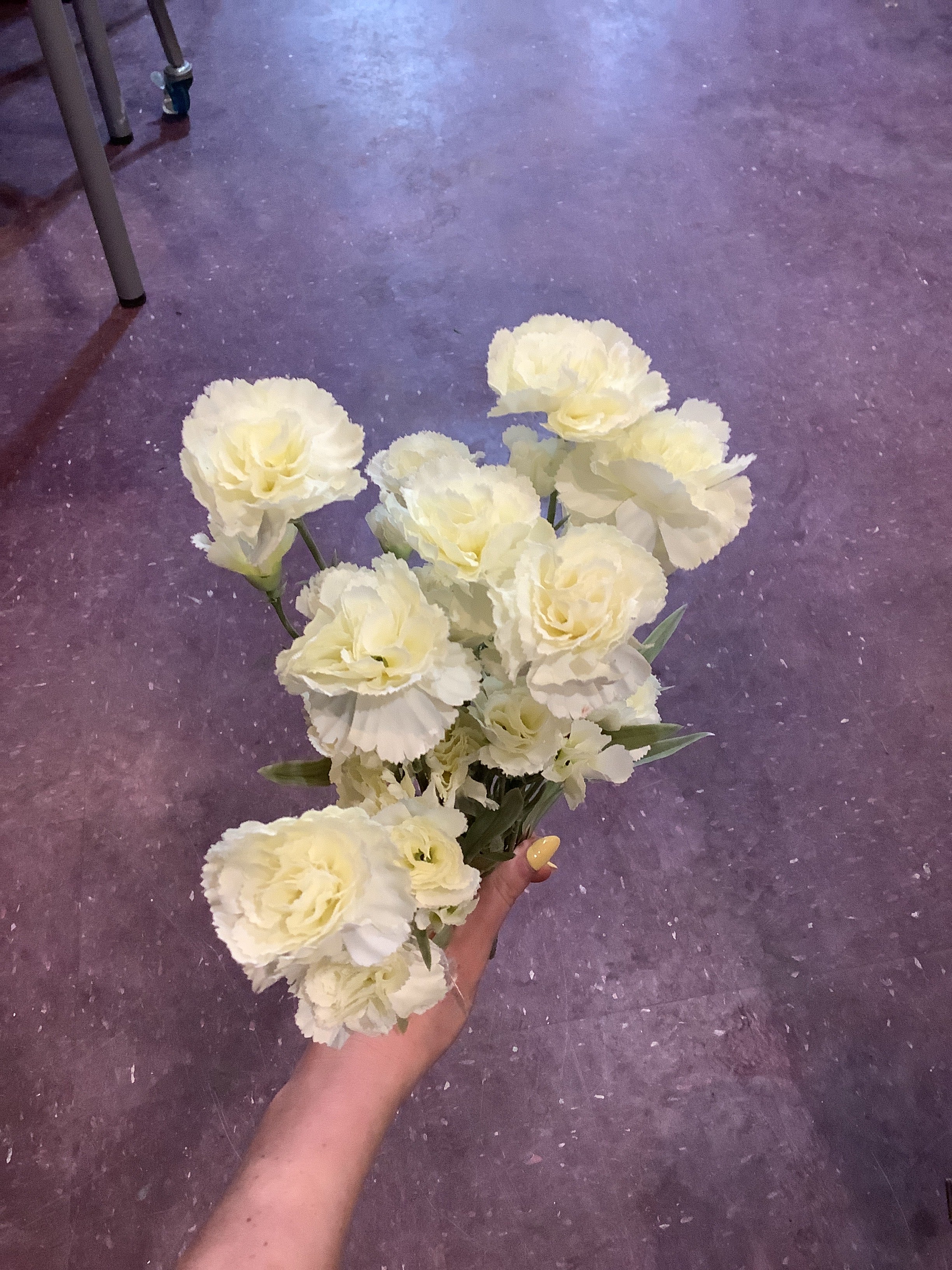 K – carnation bundle￼