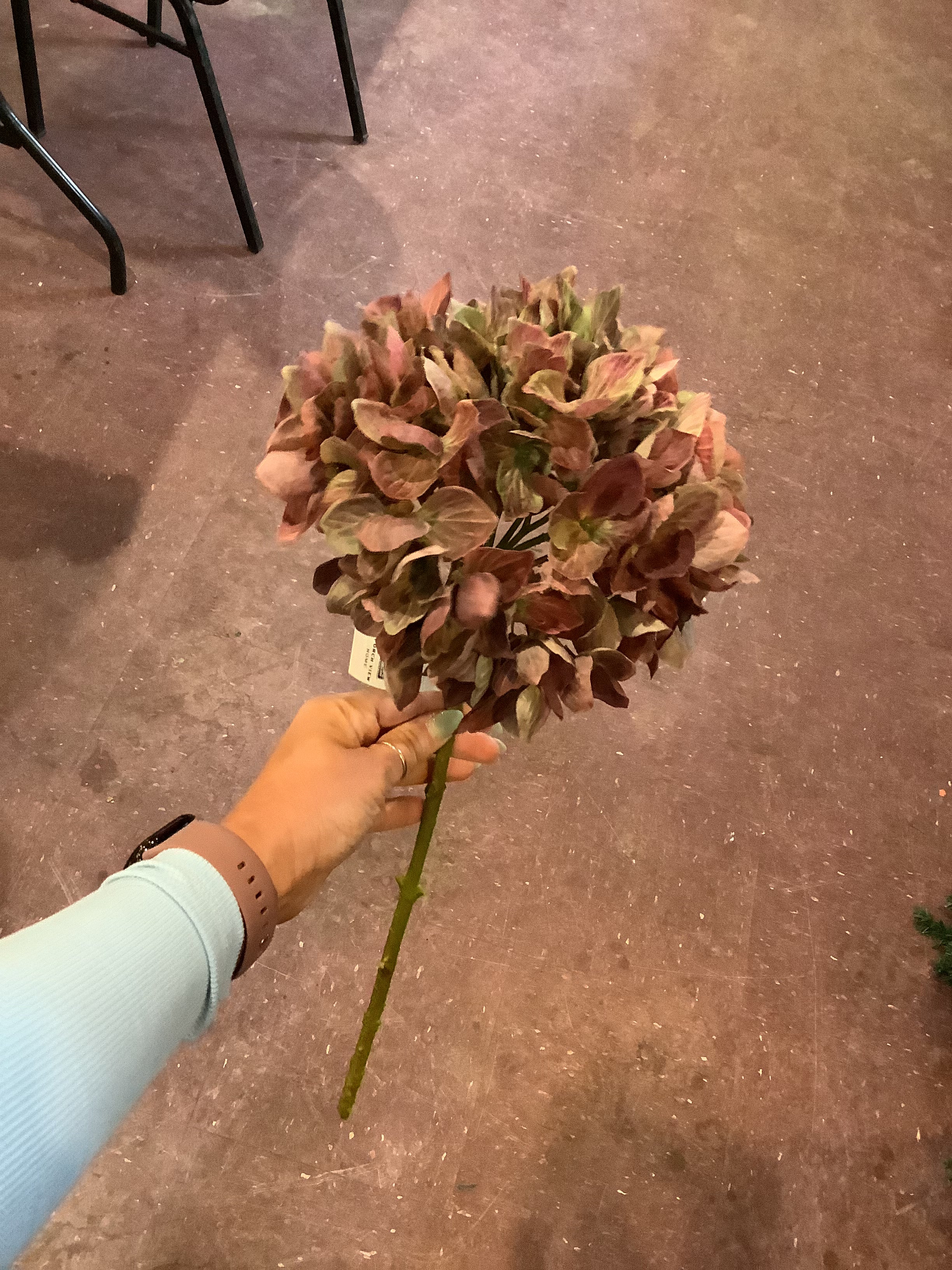 K dark purple hydrangea