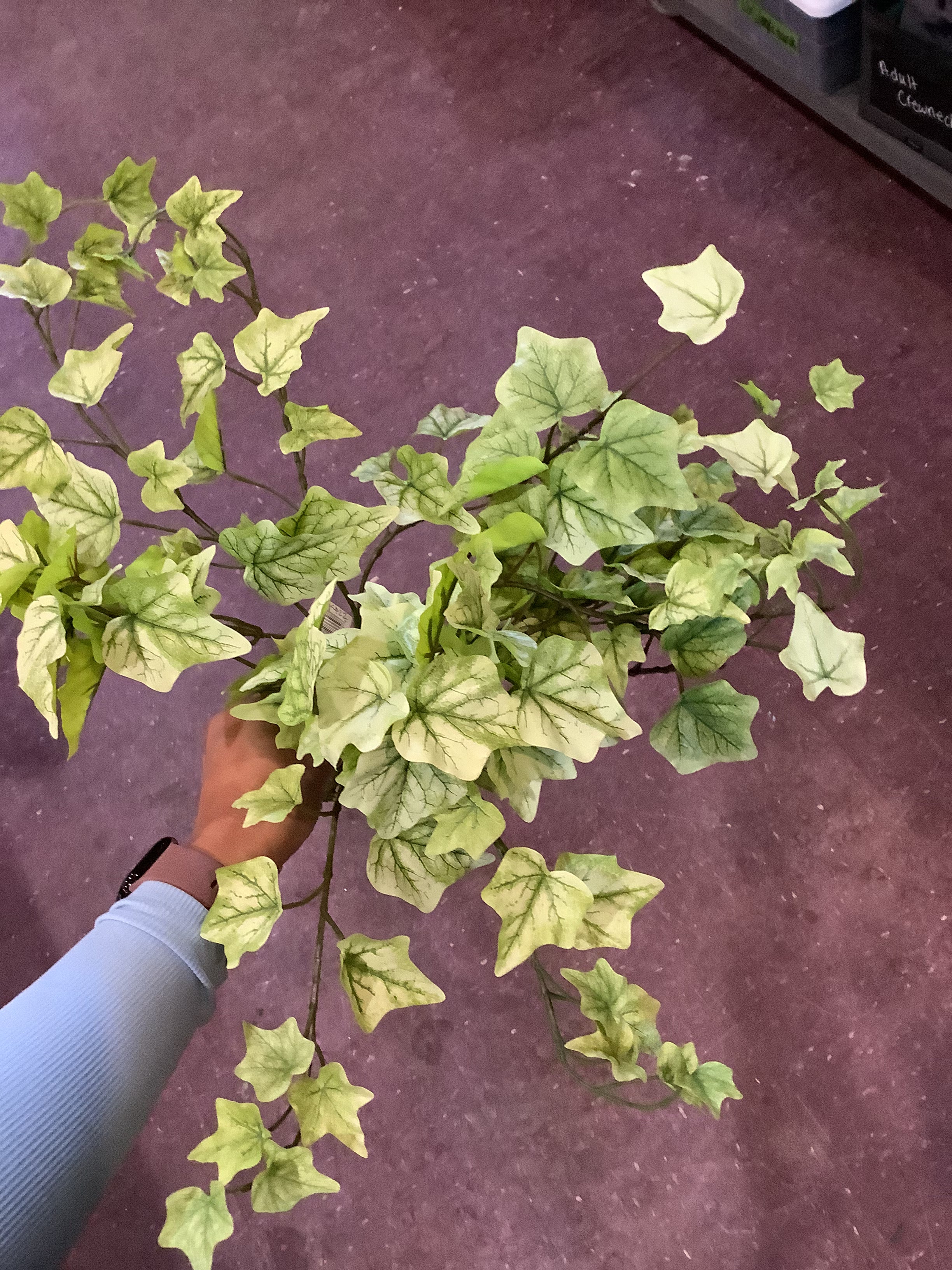K greens bundle