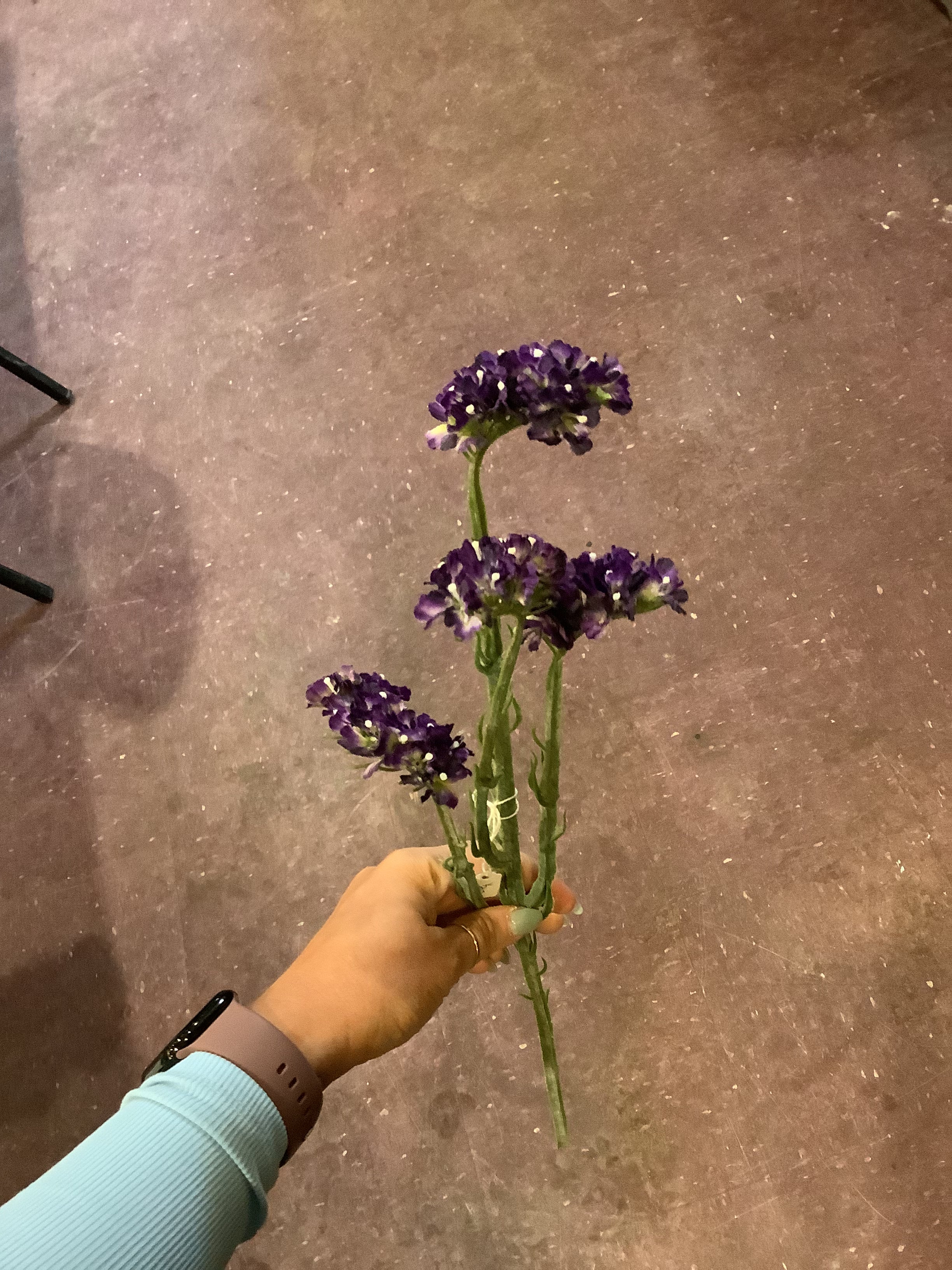 K purple flower
