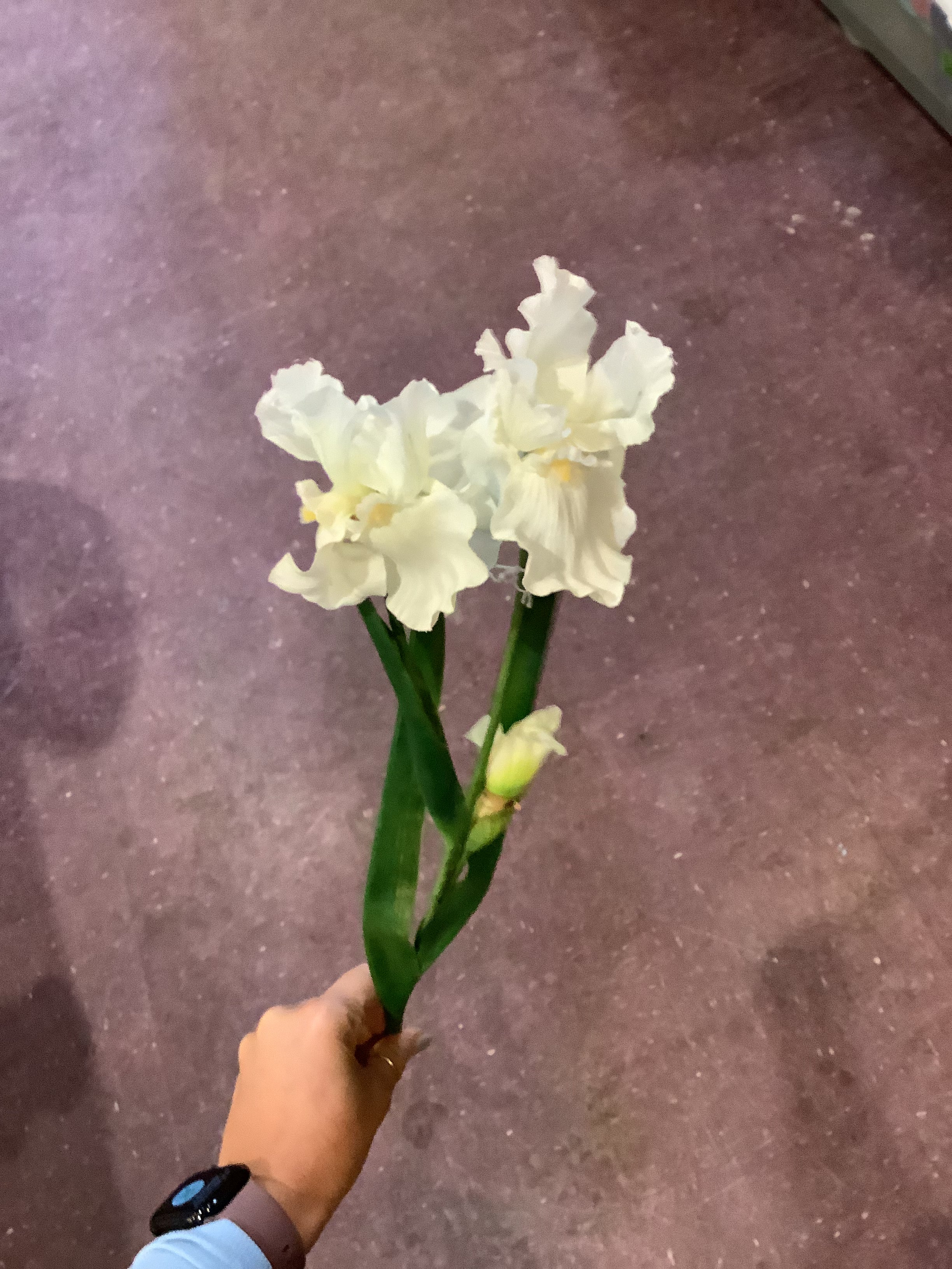 K white flower