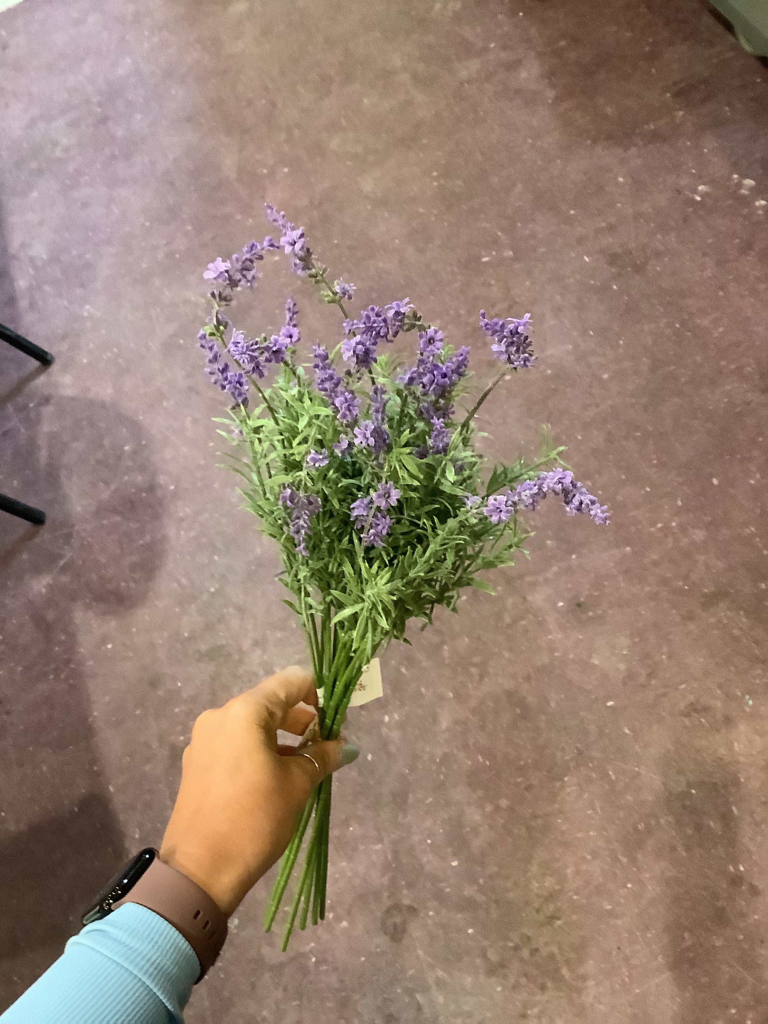 K lavender bundle