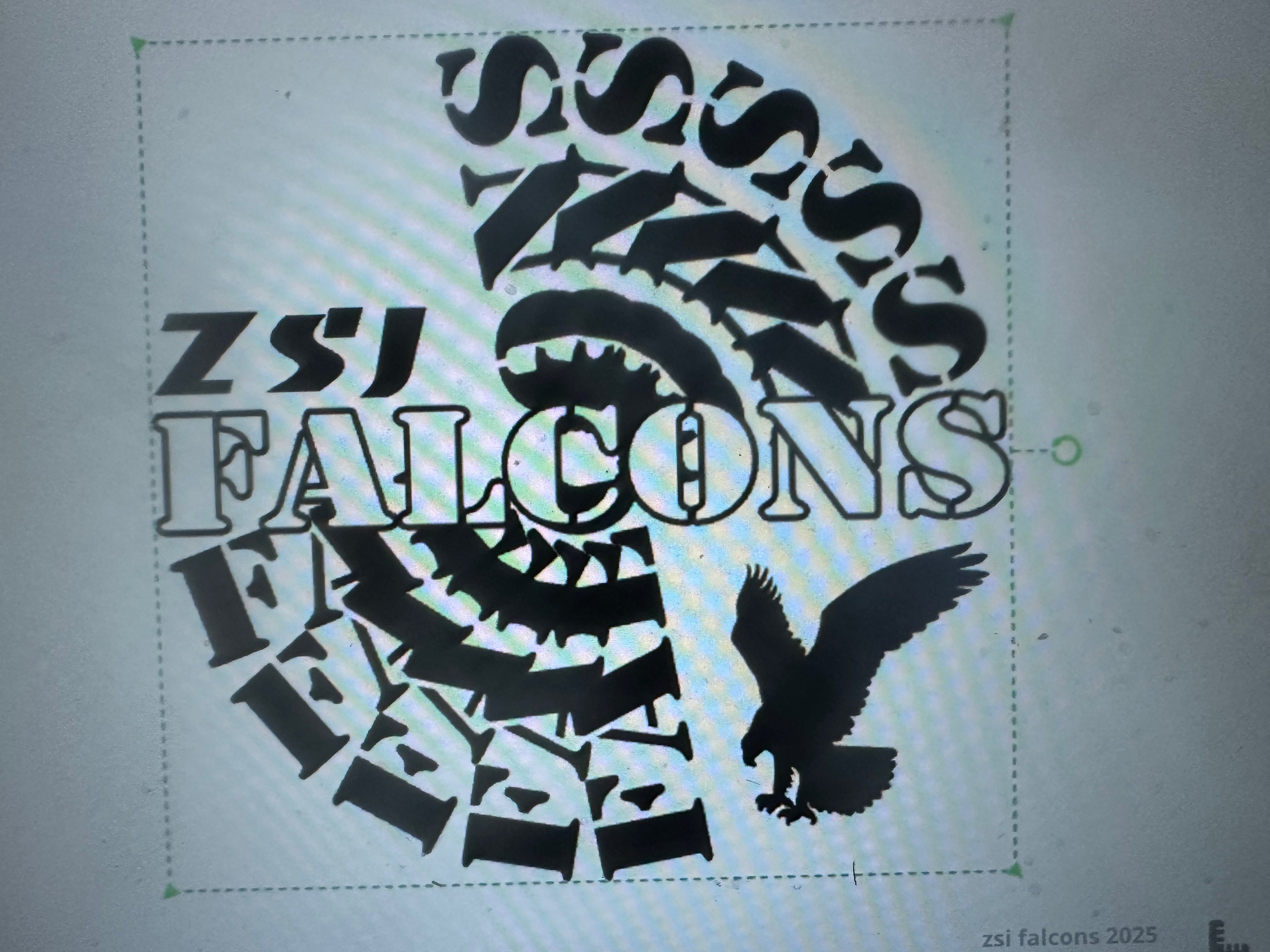 ZSJ Falcons Graphic