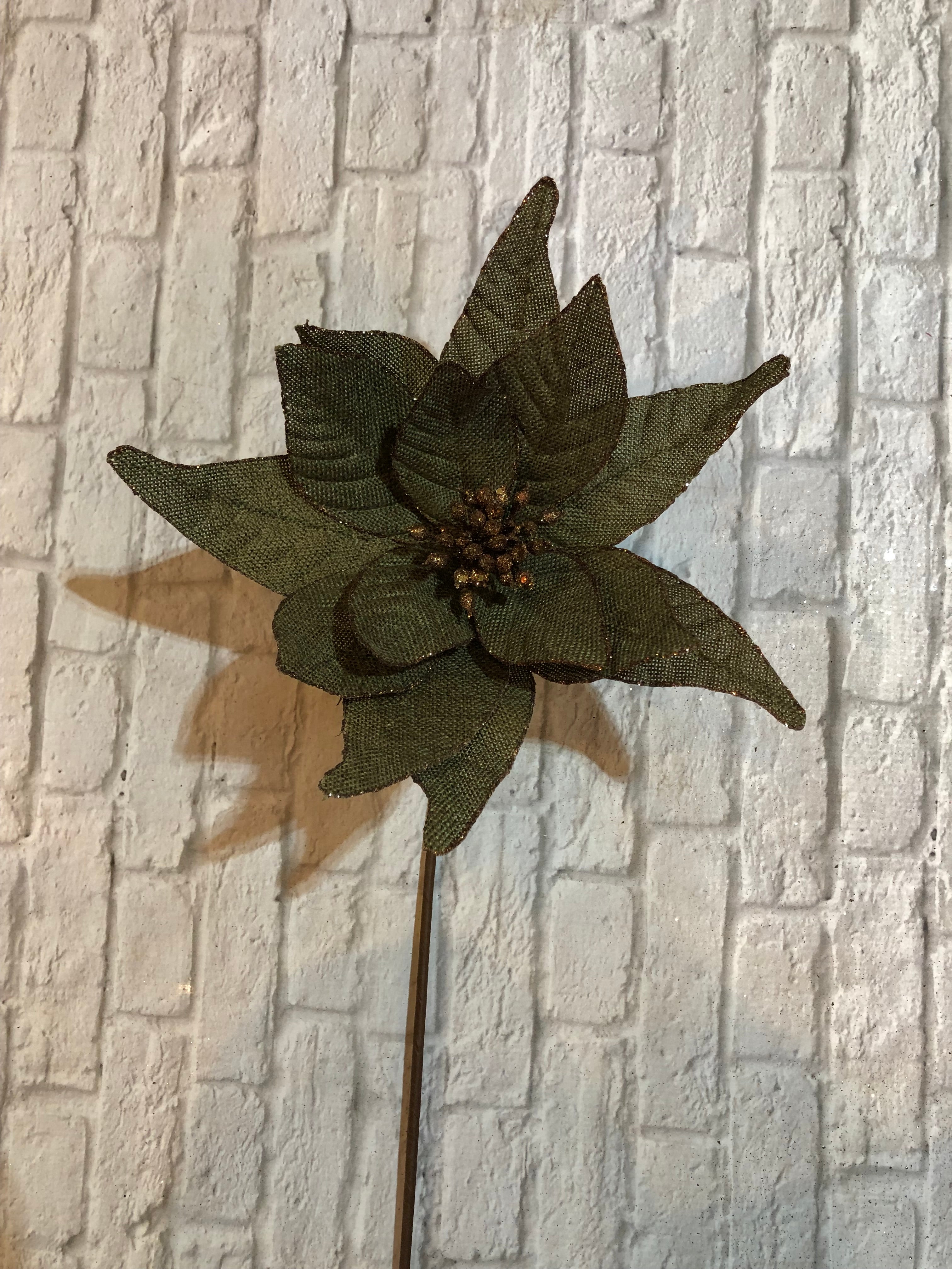 K Olive Green Poinsettias