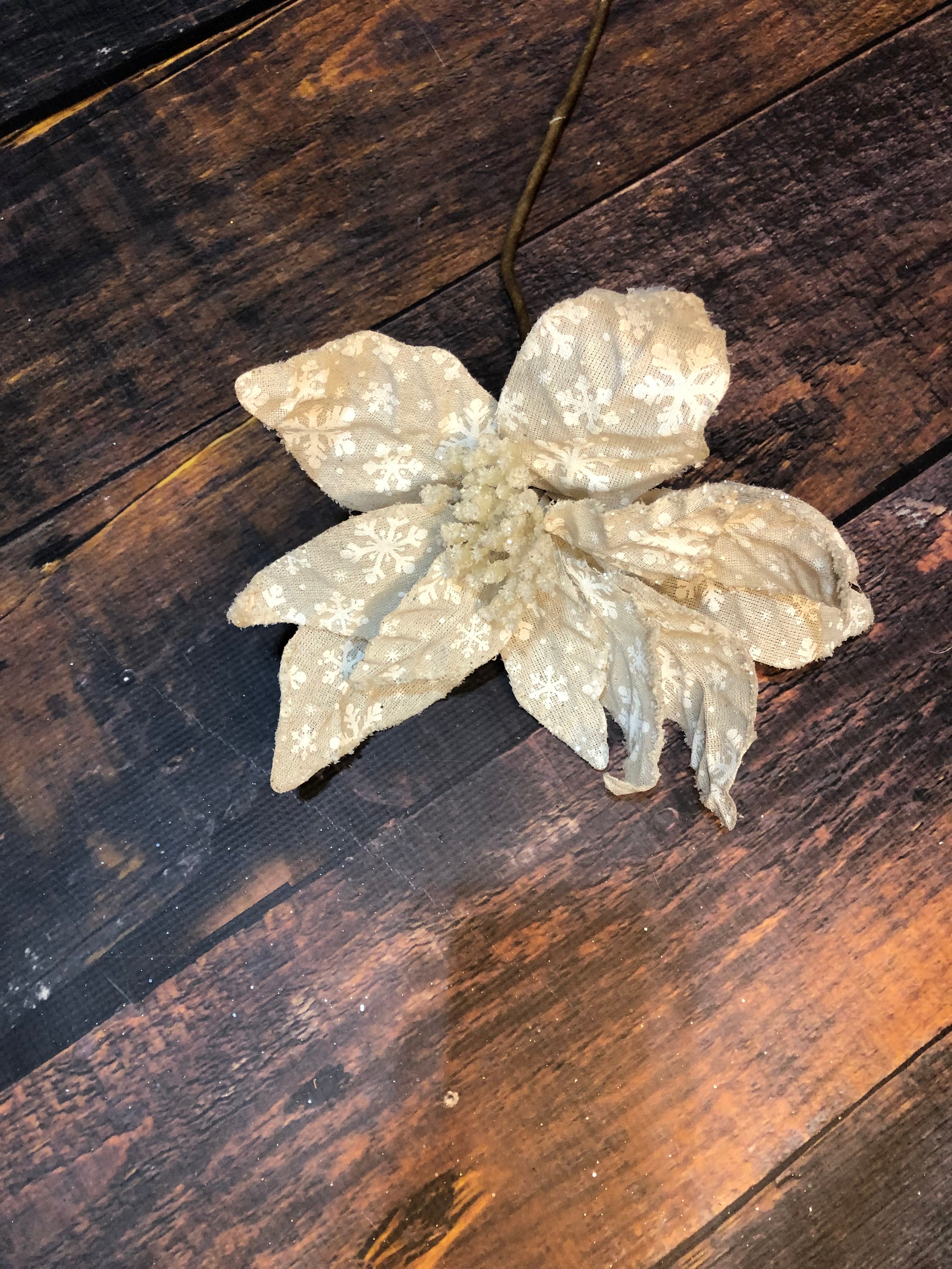 K Snowflake Poinsettia