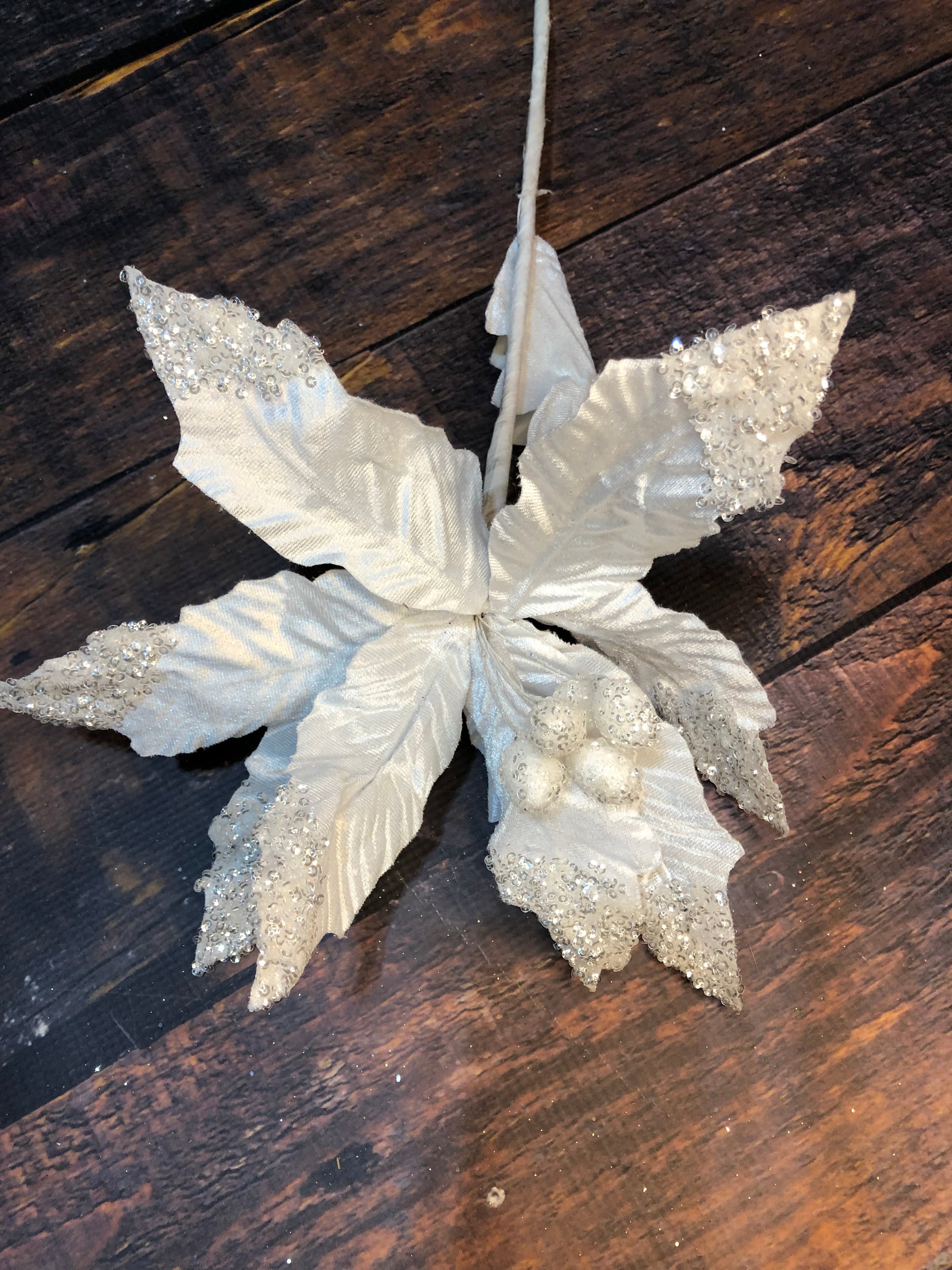 K White Poinsettia