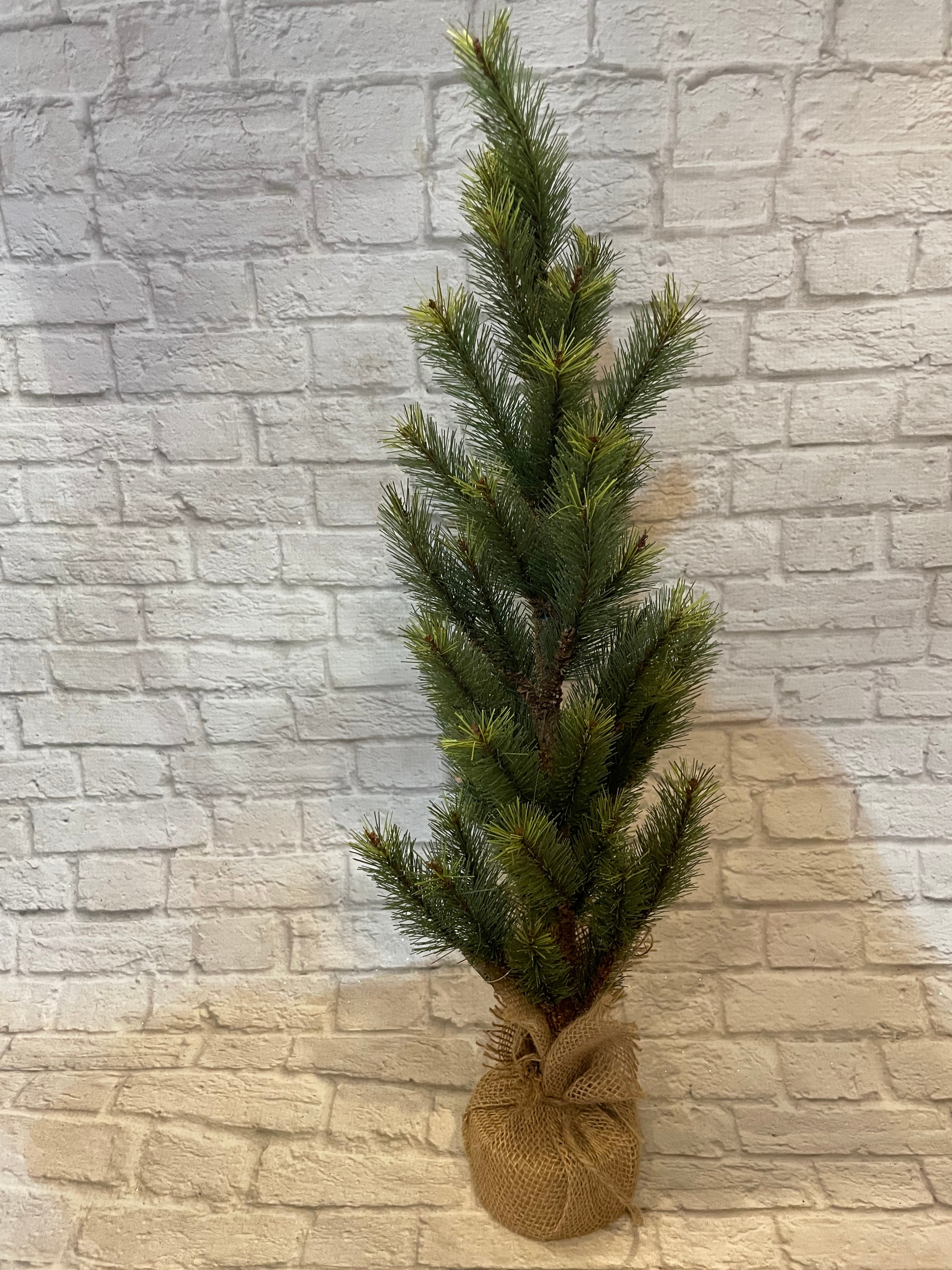 K Tree With Burlap Base