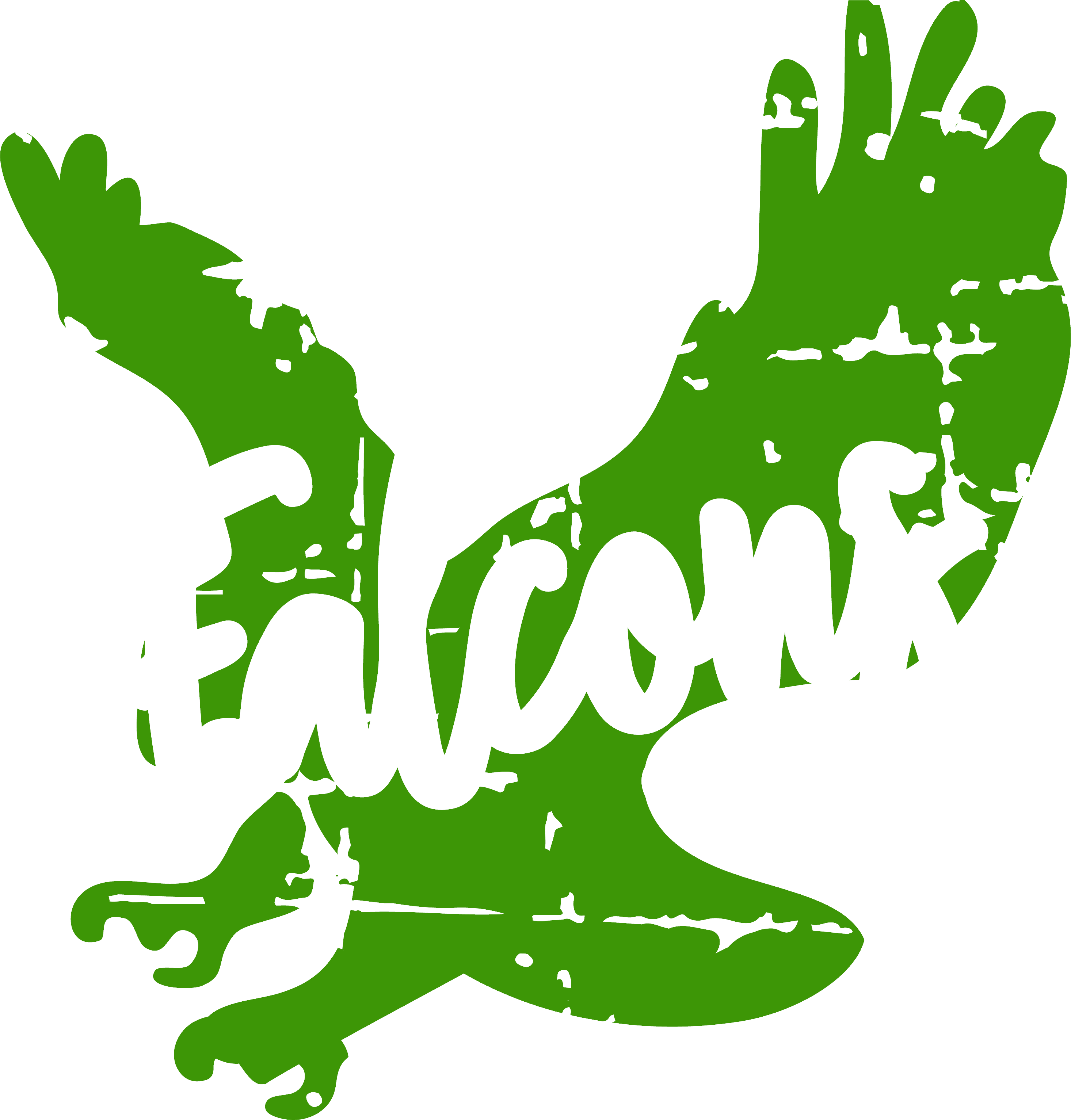 Falcons Graphic