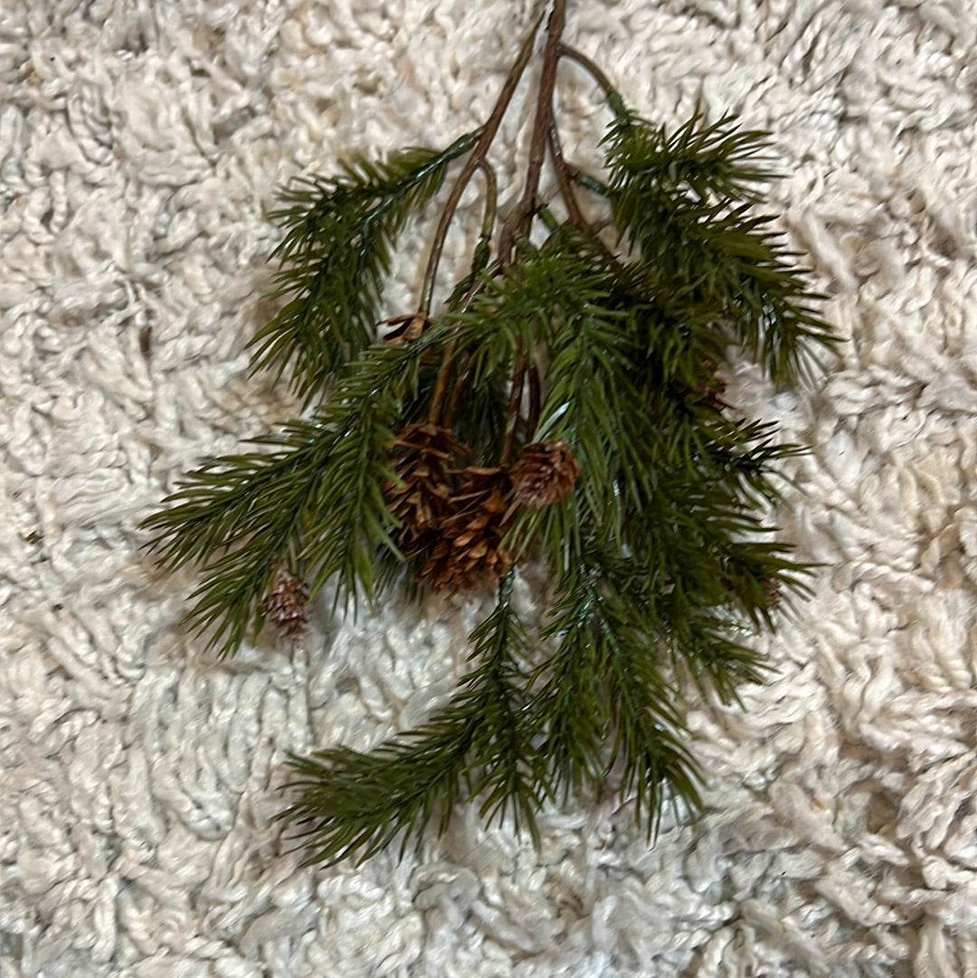 K Angel Pine with Cone Spray