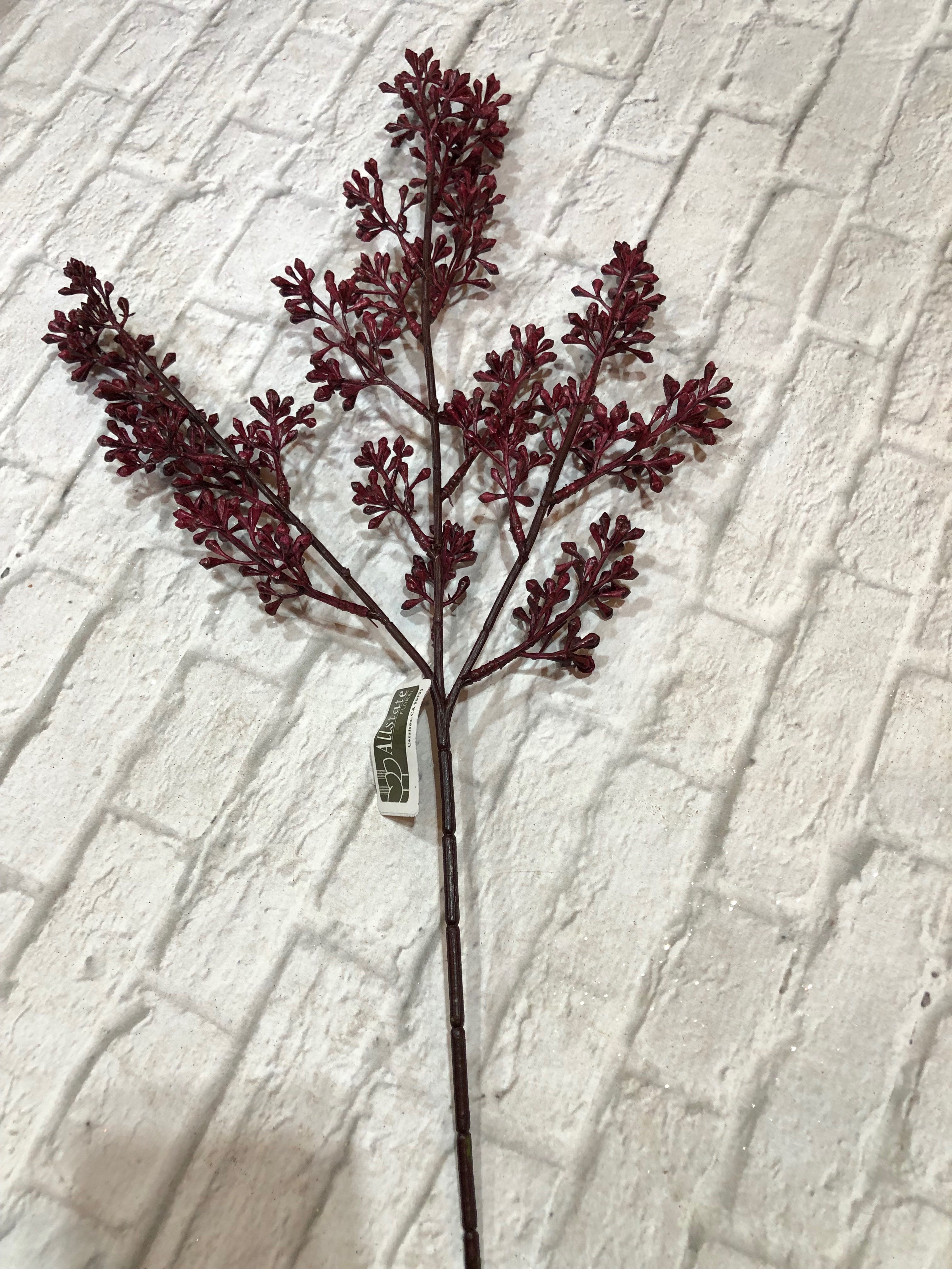 K Eucalyptus Seed Bundle