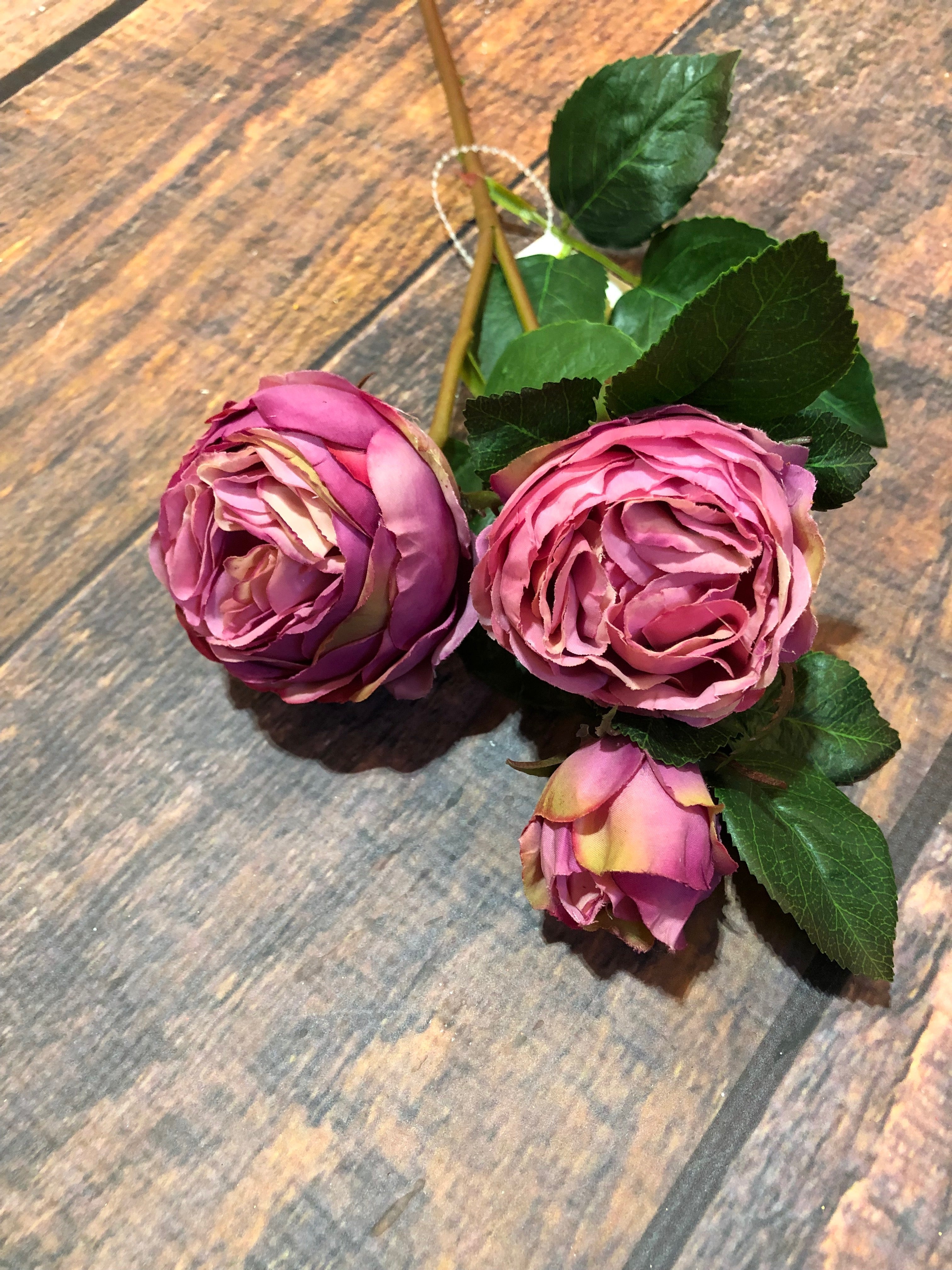 K Pink Peony Stem