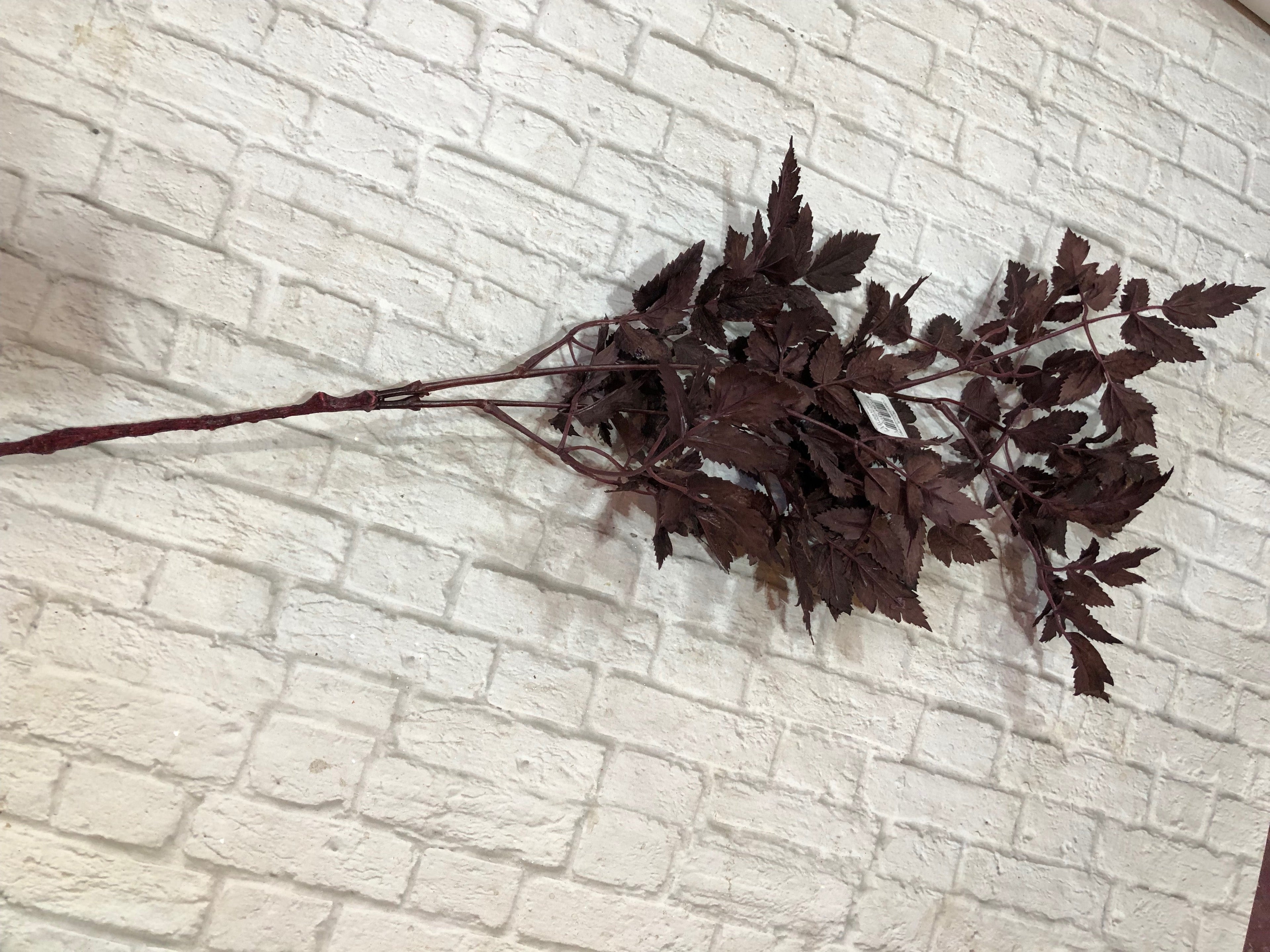 K Ramosa Leaf Spray