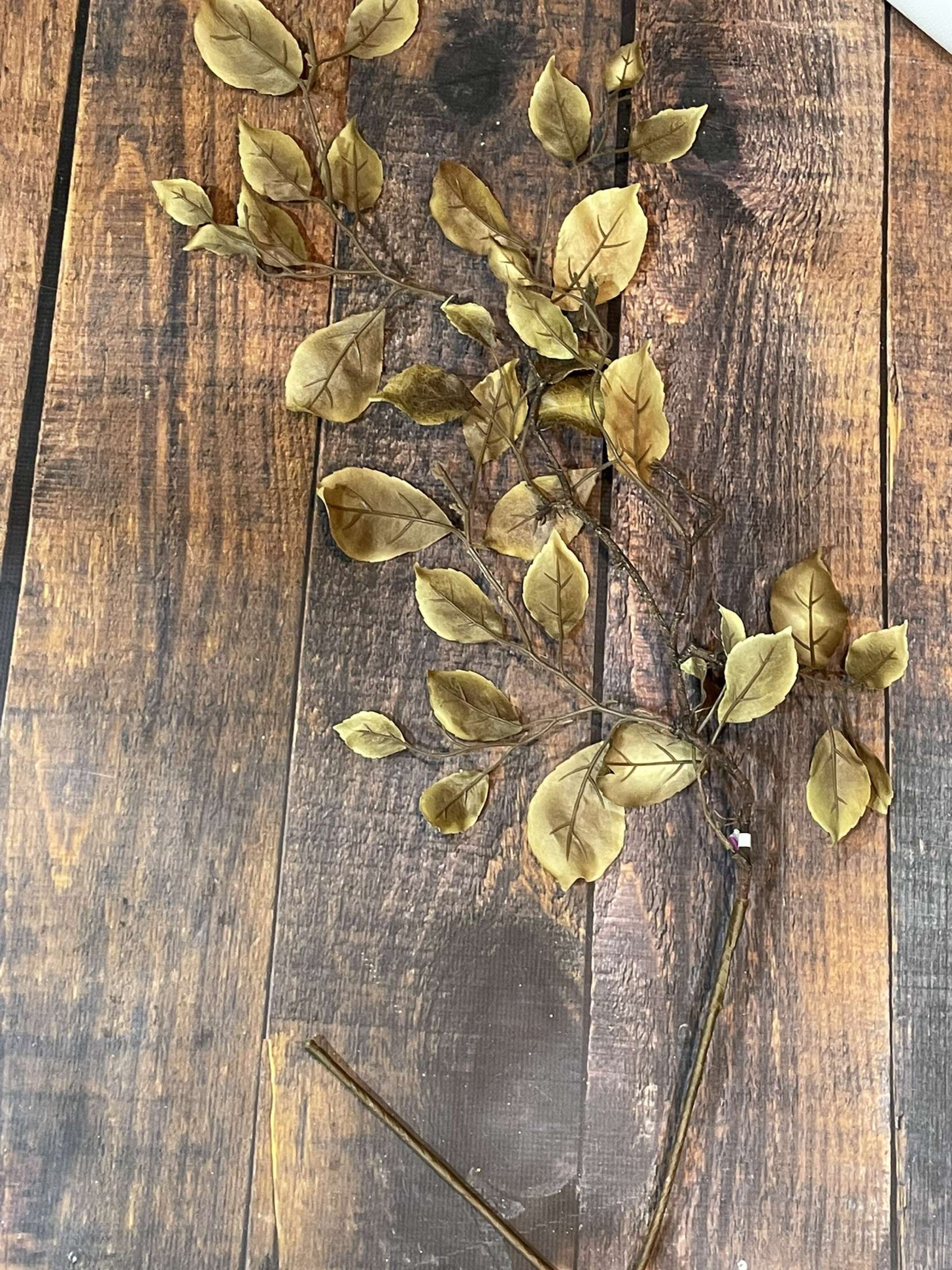 K Traveling Autumn Elm Leaf Stem