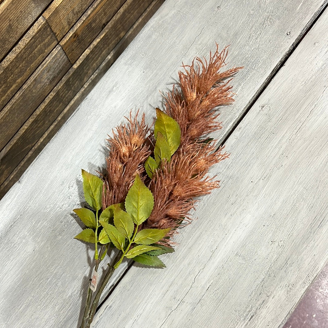 K 33.5” Celosia Spray