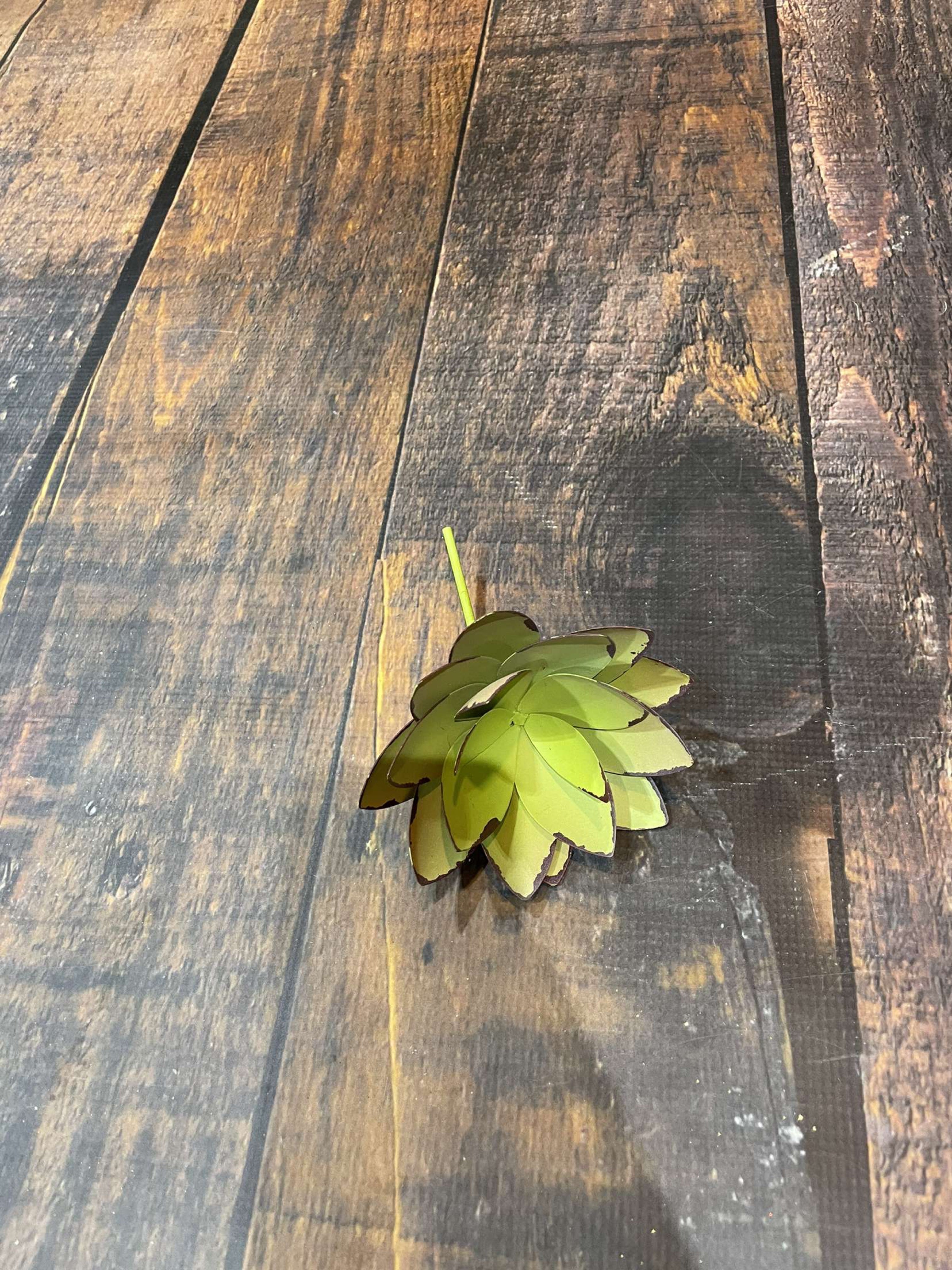 K Metal Succulent-Yellow